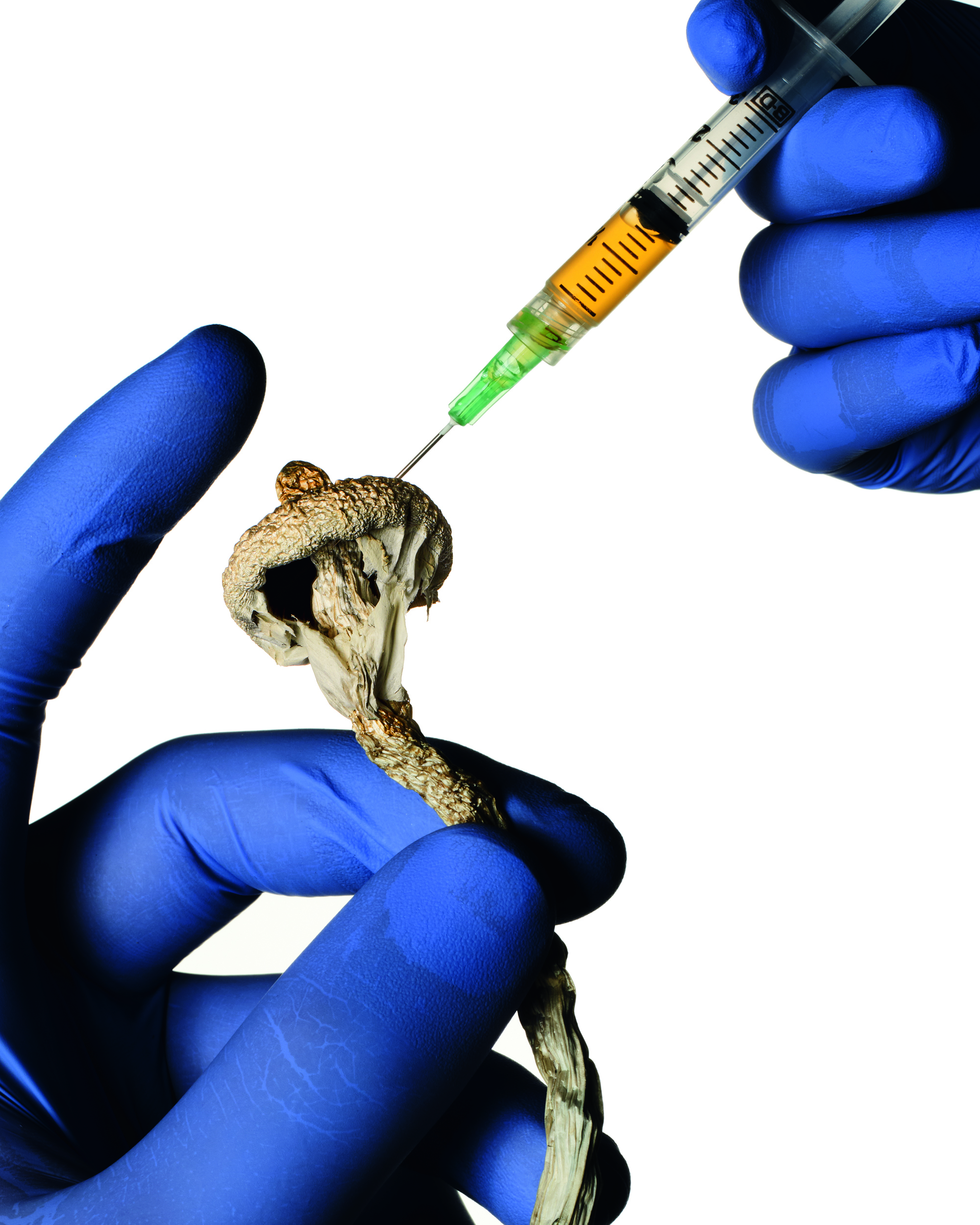 Noemi Bonazzi & Bobby Doherty, Le Gourmand, Mini Title 2026