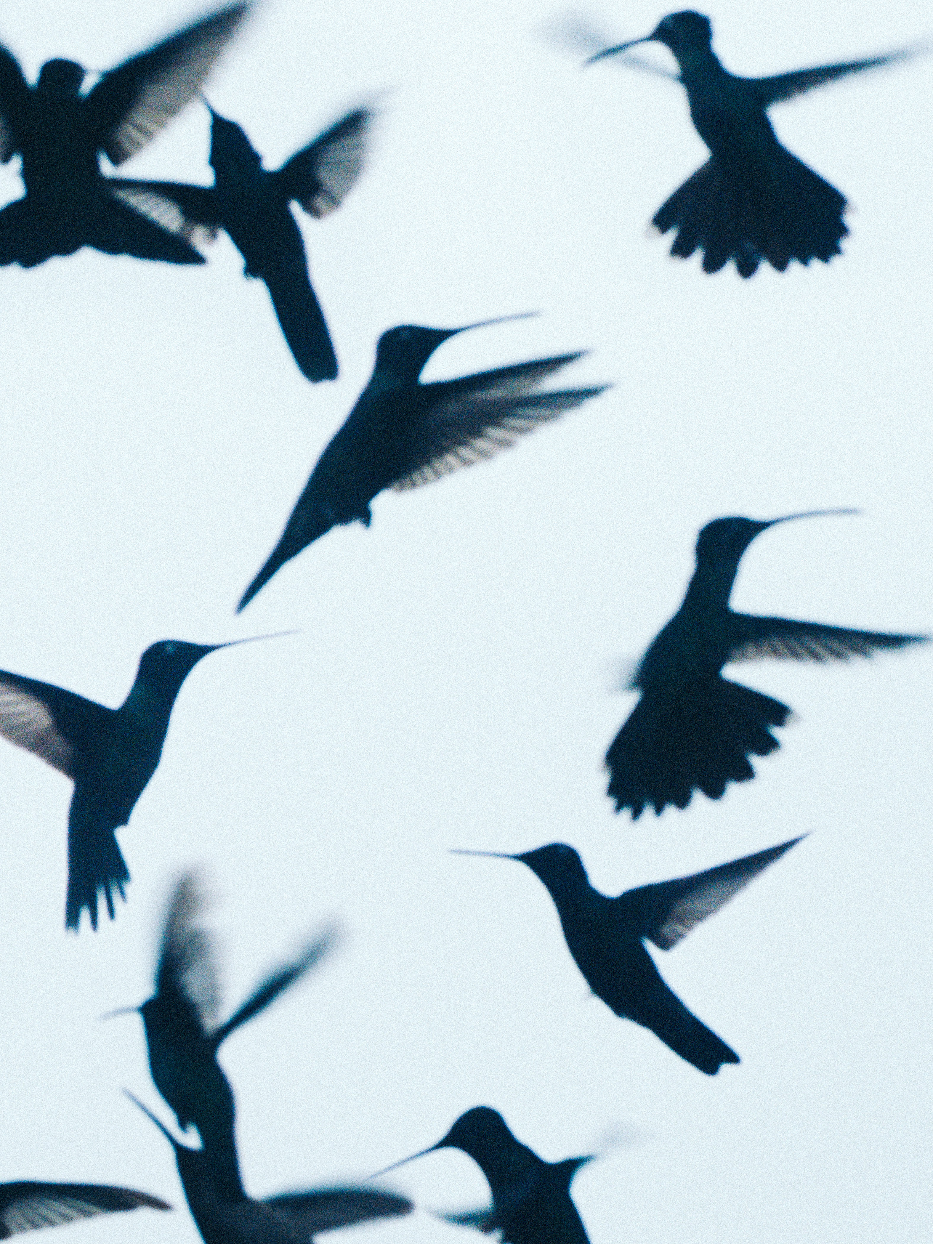 Daniel Shea, Atmos, Mini Title 2025