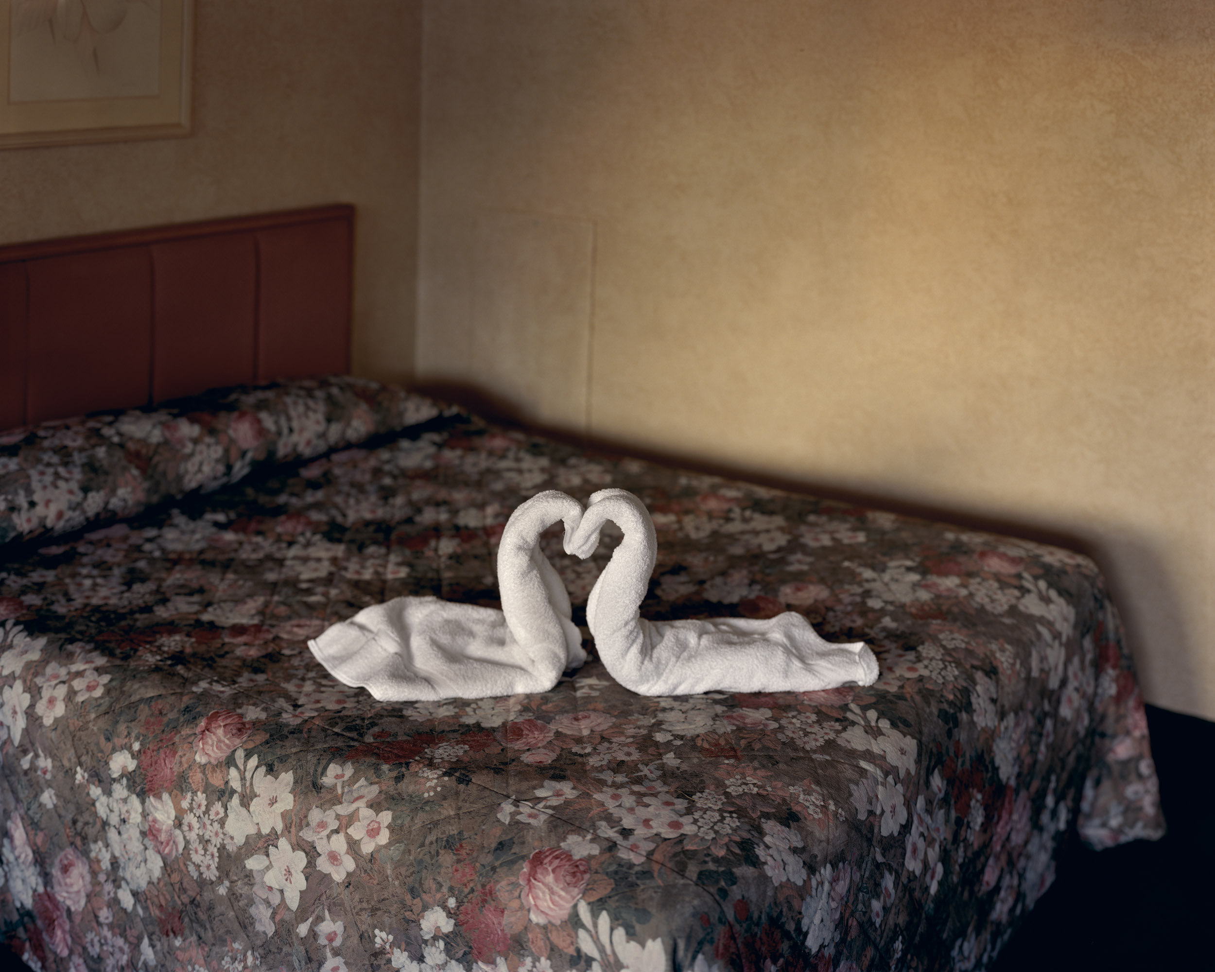 Books & Exhibitions — Alec Soth, Mini Title 2026