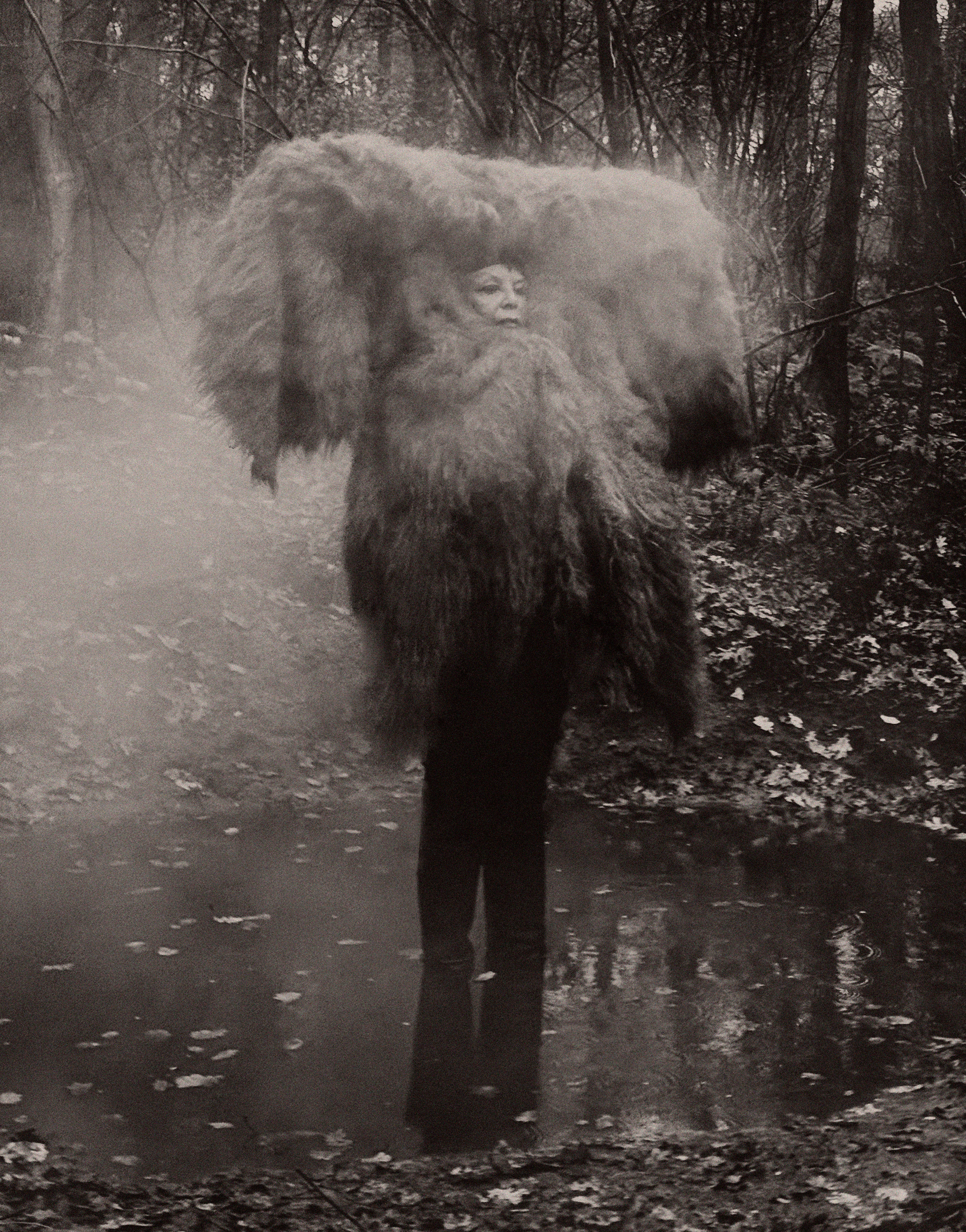 Portfolio — Paul Kooiker, Mini Title 2025