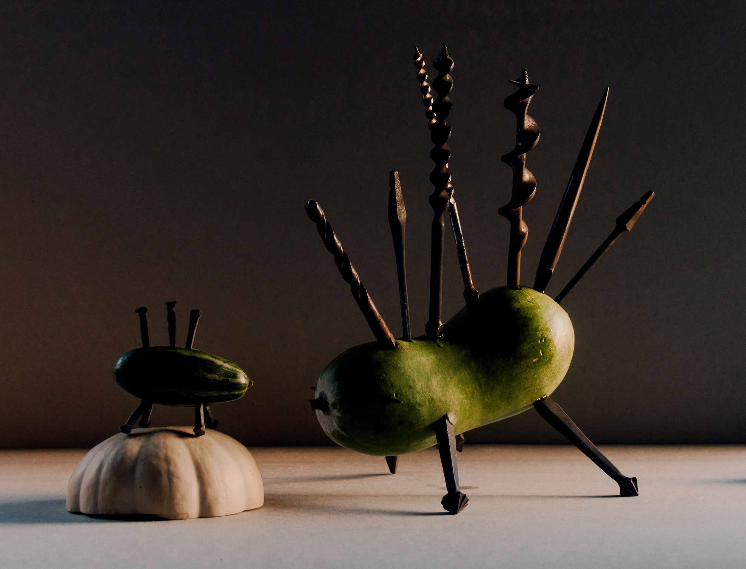 Portfolio — Rachel Thomas, Mini Title 2025