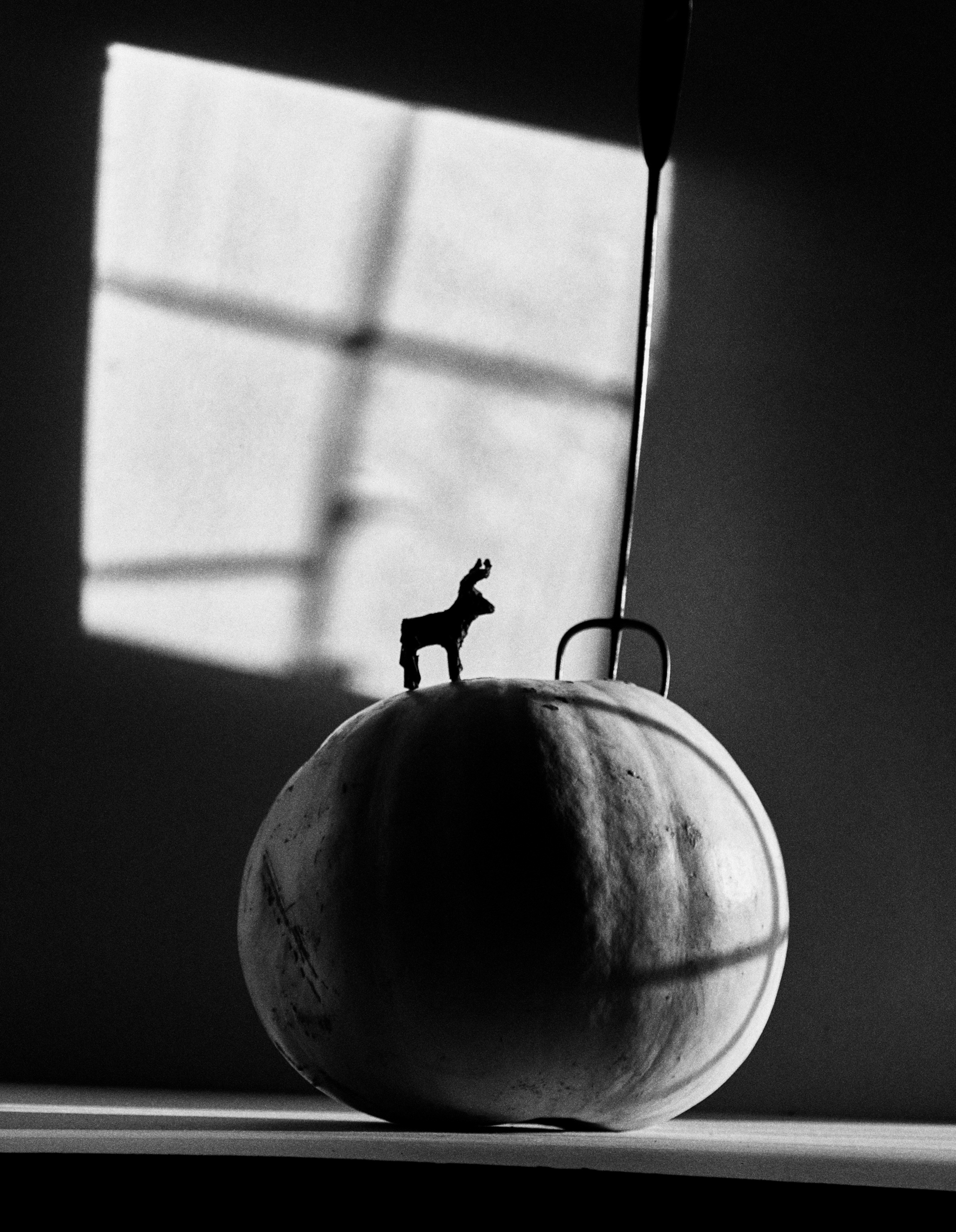 Portfolio — Rachel Thomas, Mini Title 2025