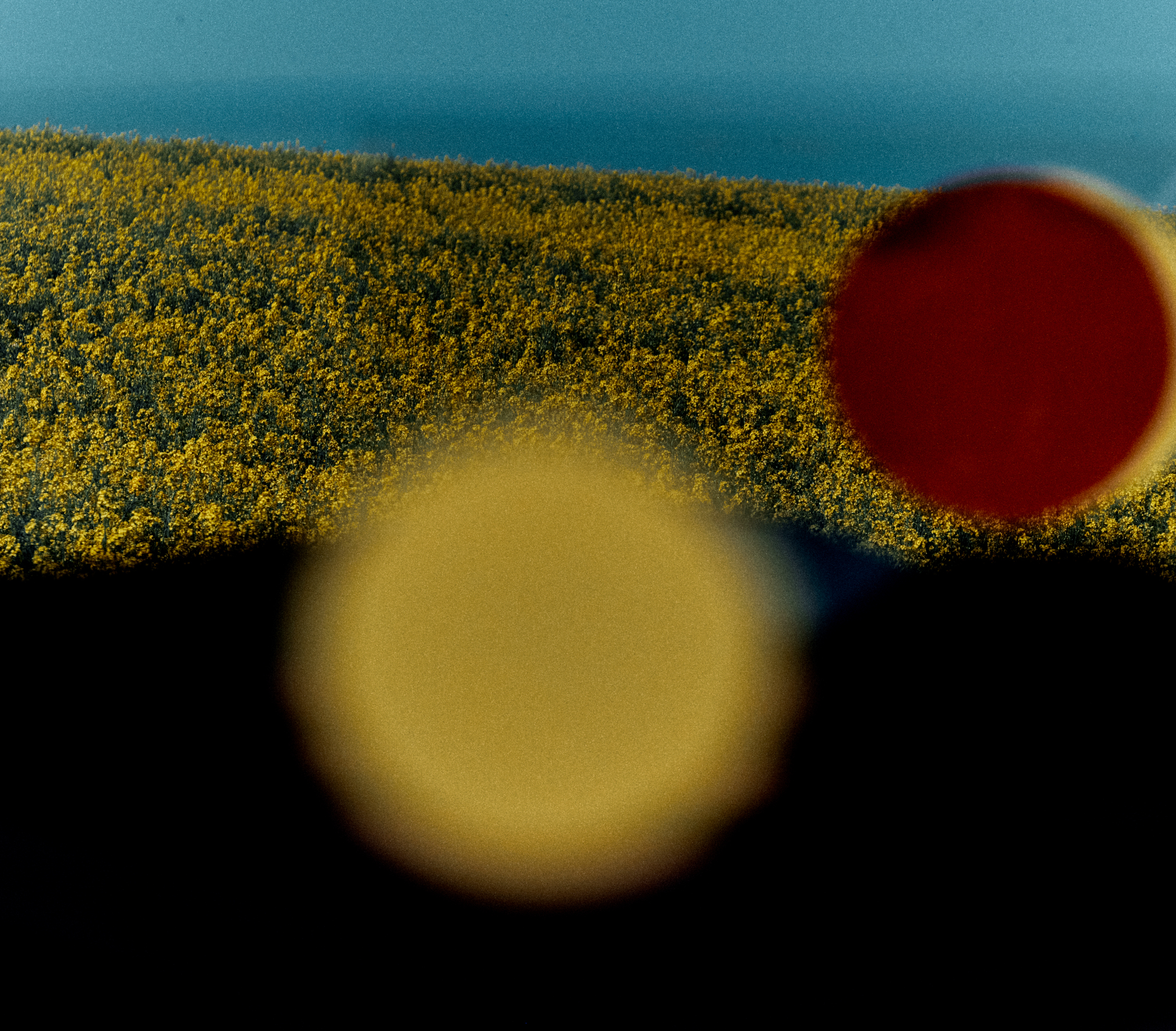 Jack Davison & Rachel Thomas, Scenario, Mini Title 2025