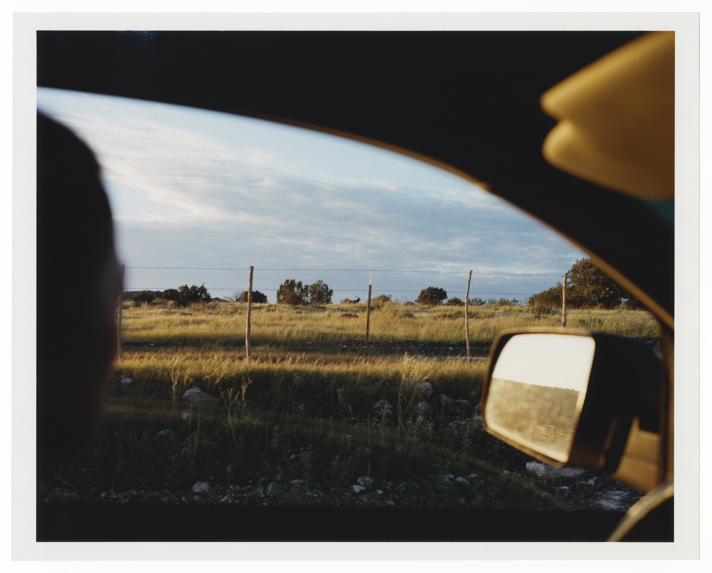 Portfolio — Clara Balzary, Mini Title 2025