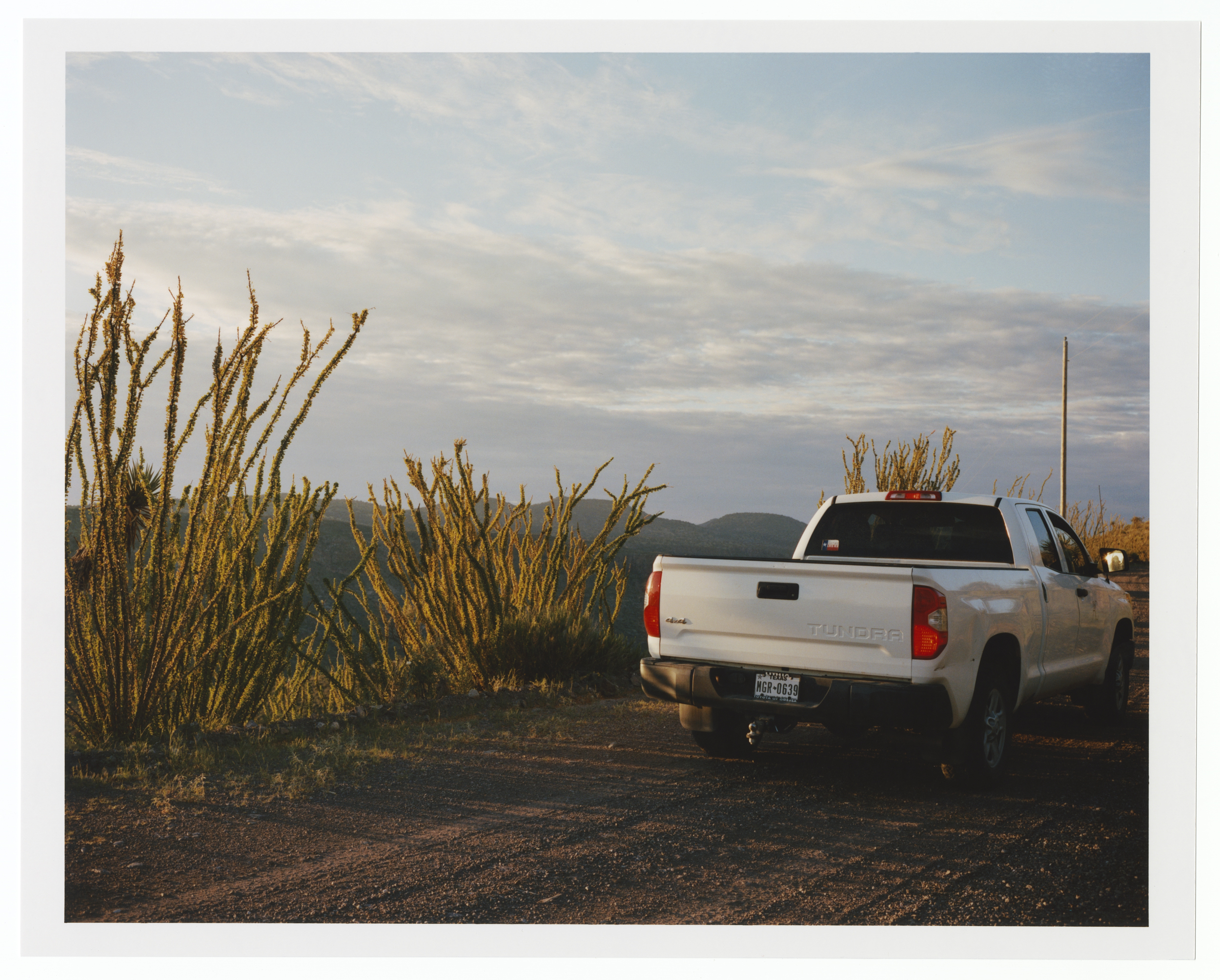 Clara Balzary, The Plant, Mini Title 2026