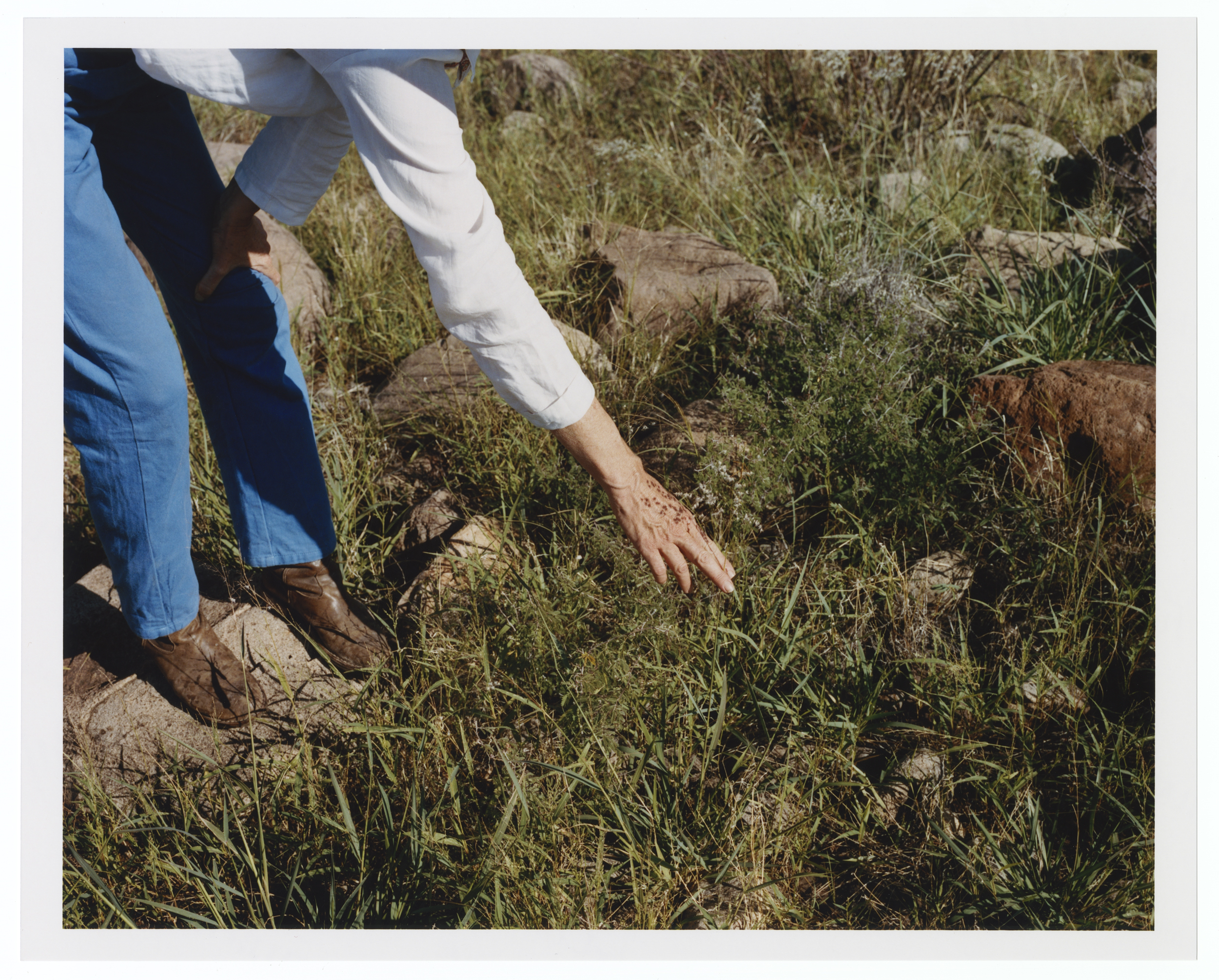 Portfolio — Clara Balzary, Mini Title 2025