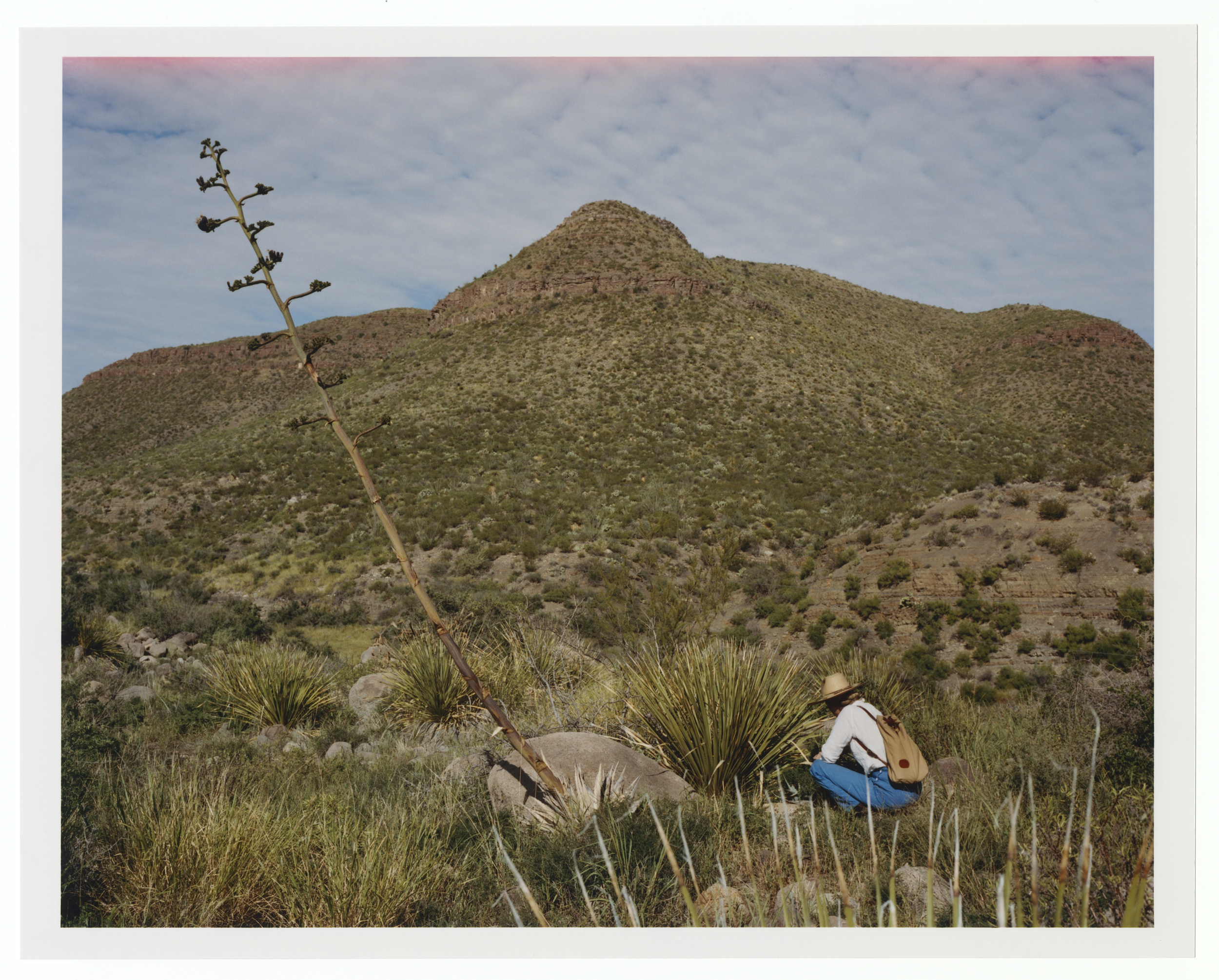 Portfolio — Clara Balzary, Mini Title 2025