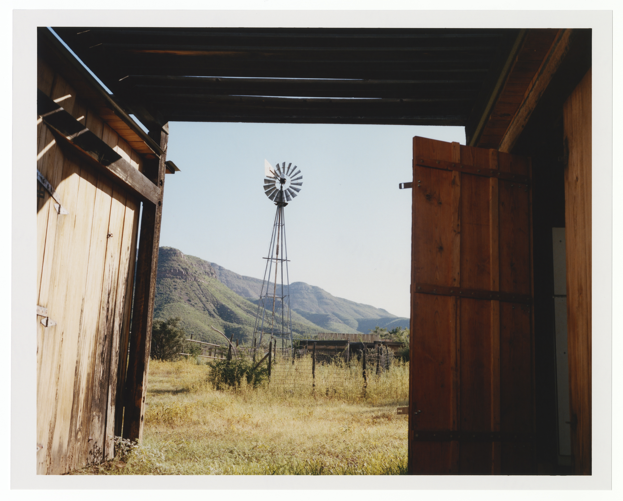 Clara Balzary, The Plant, Mini Title 2026