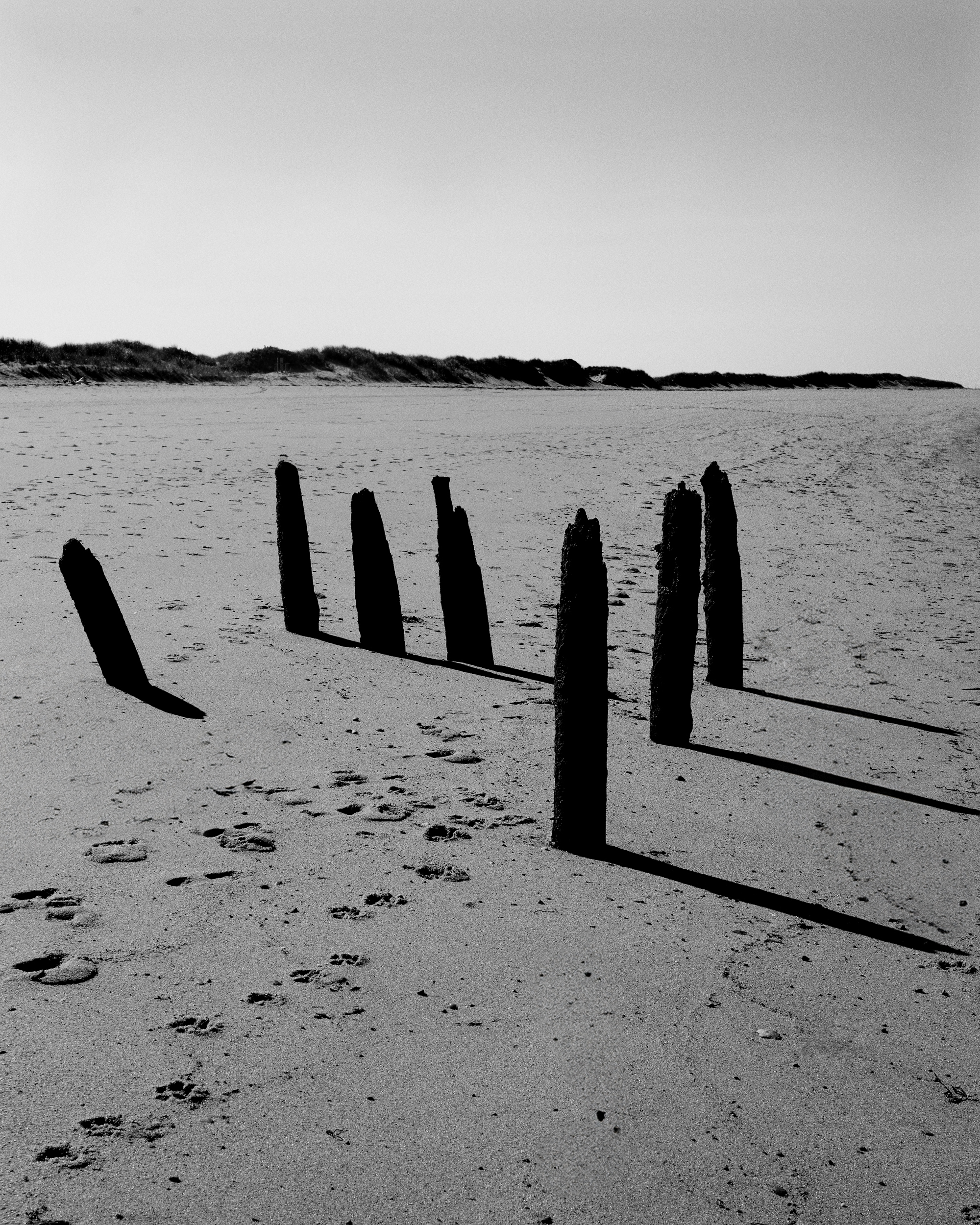 Portfolio — Michael Bailey-Gates, Mini Title 2025