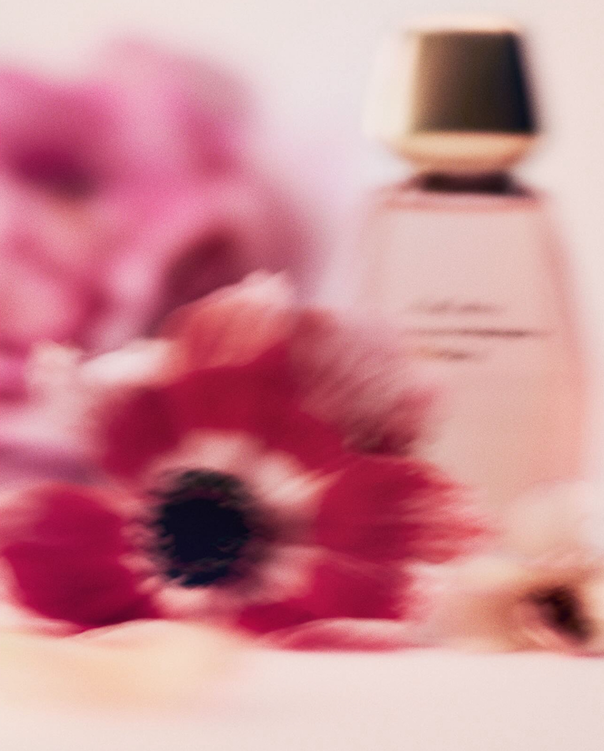 Portfolio — Noemi Bonazzi, Mini Title 2026