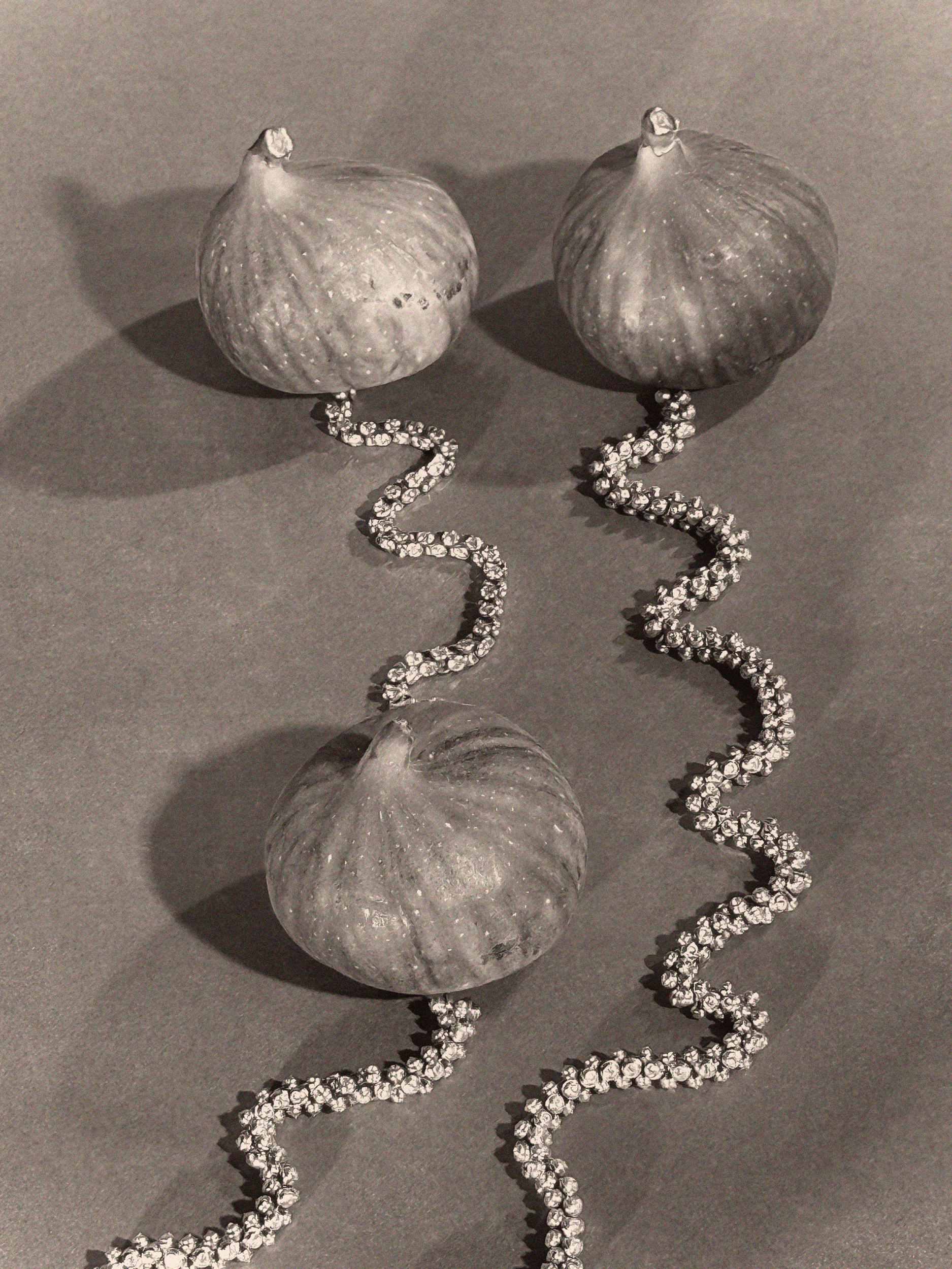 Paul Kooiker, Ox, Mini Title 2026