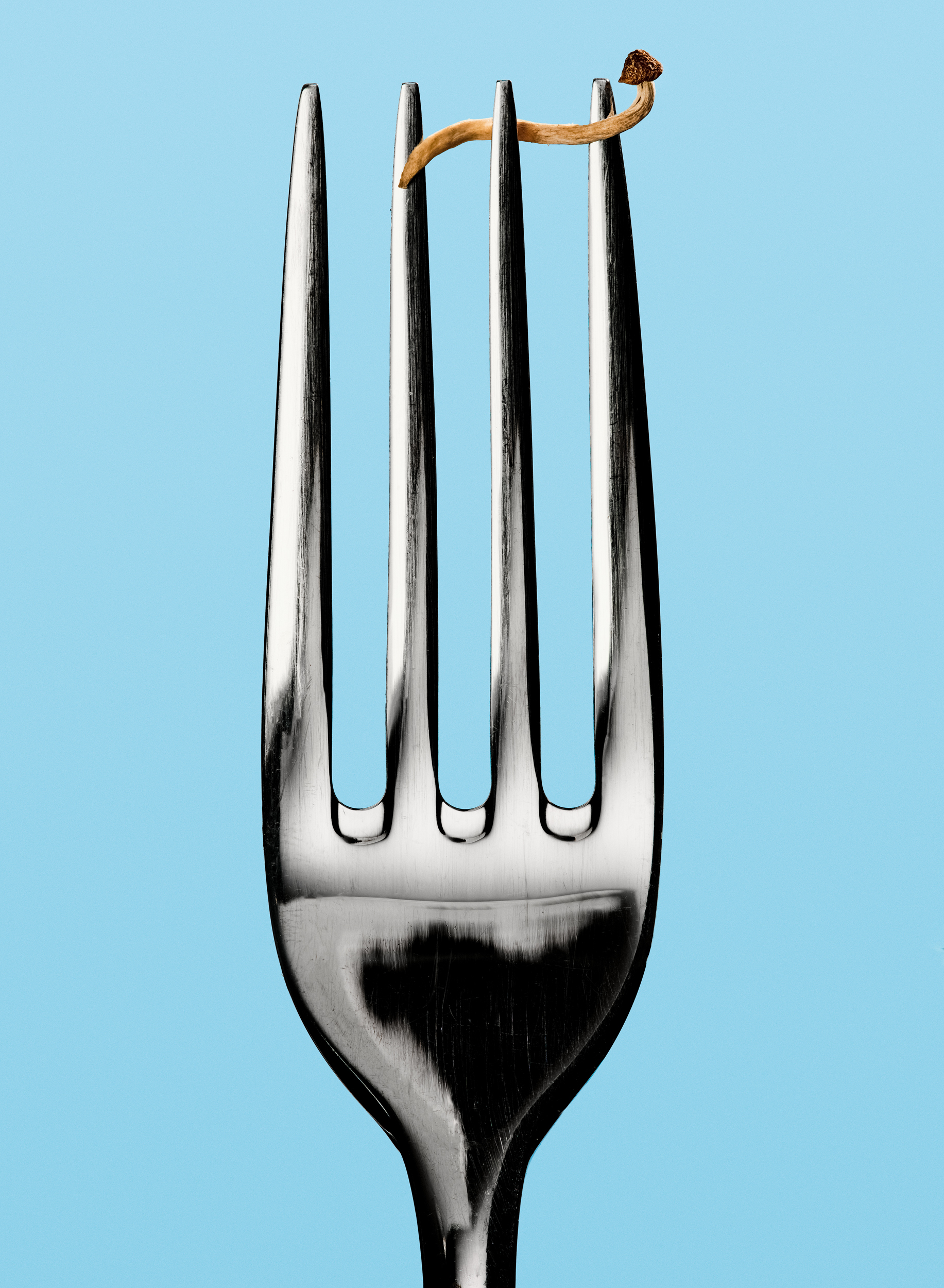 David Lane & Bobby Doherty & Noemi Bonazzi, The Gourmand, Mini Title 2026