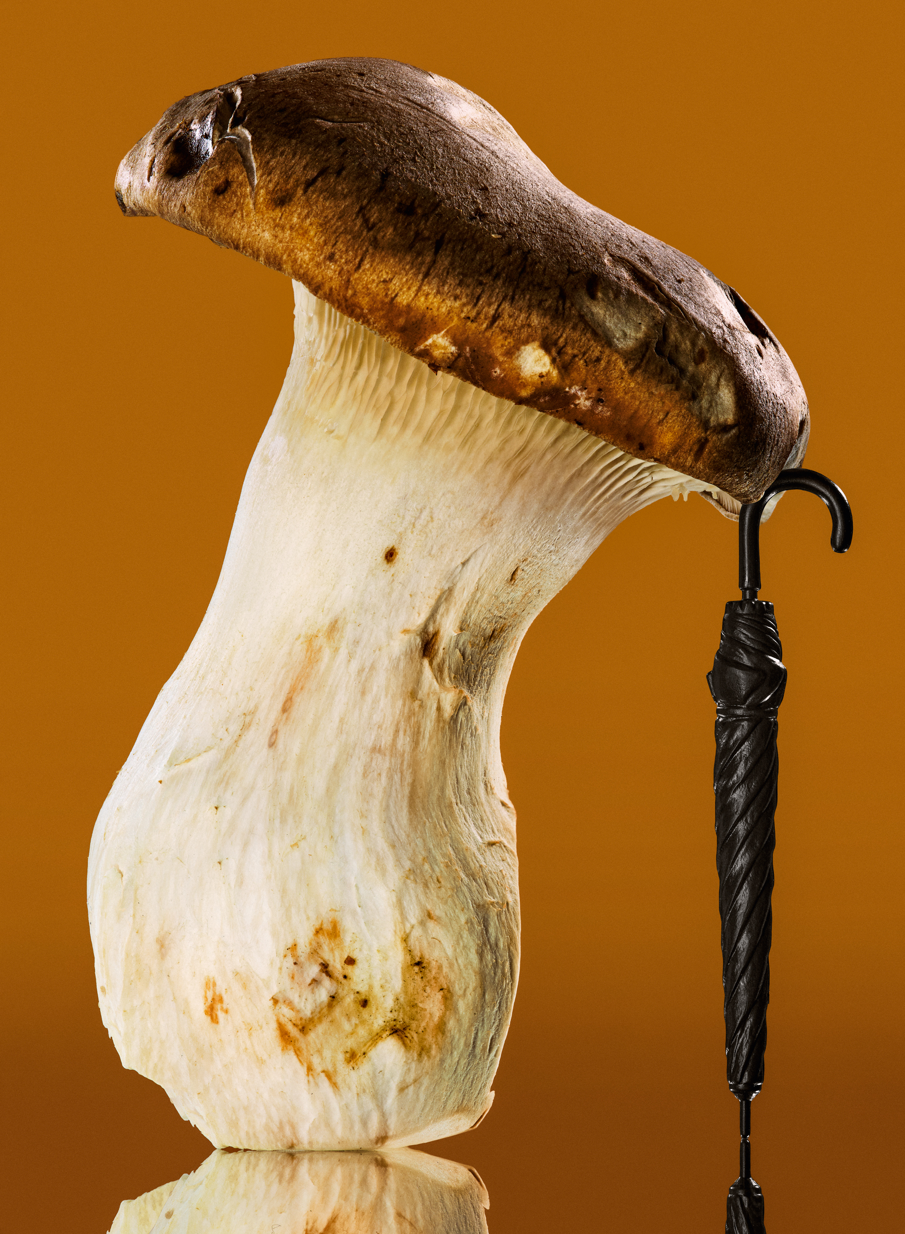 David Lane & Bobby Doherty & Noemi Bonazzi, The Gourmand, Mini Title 2026