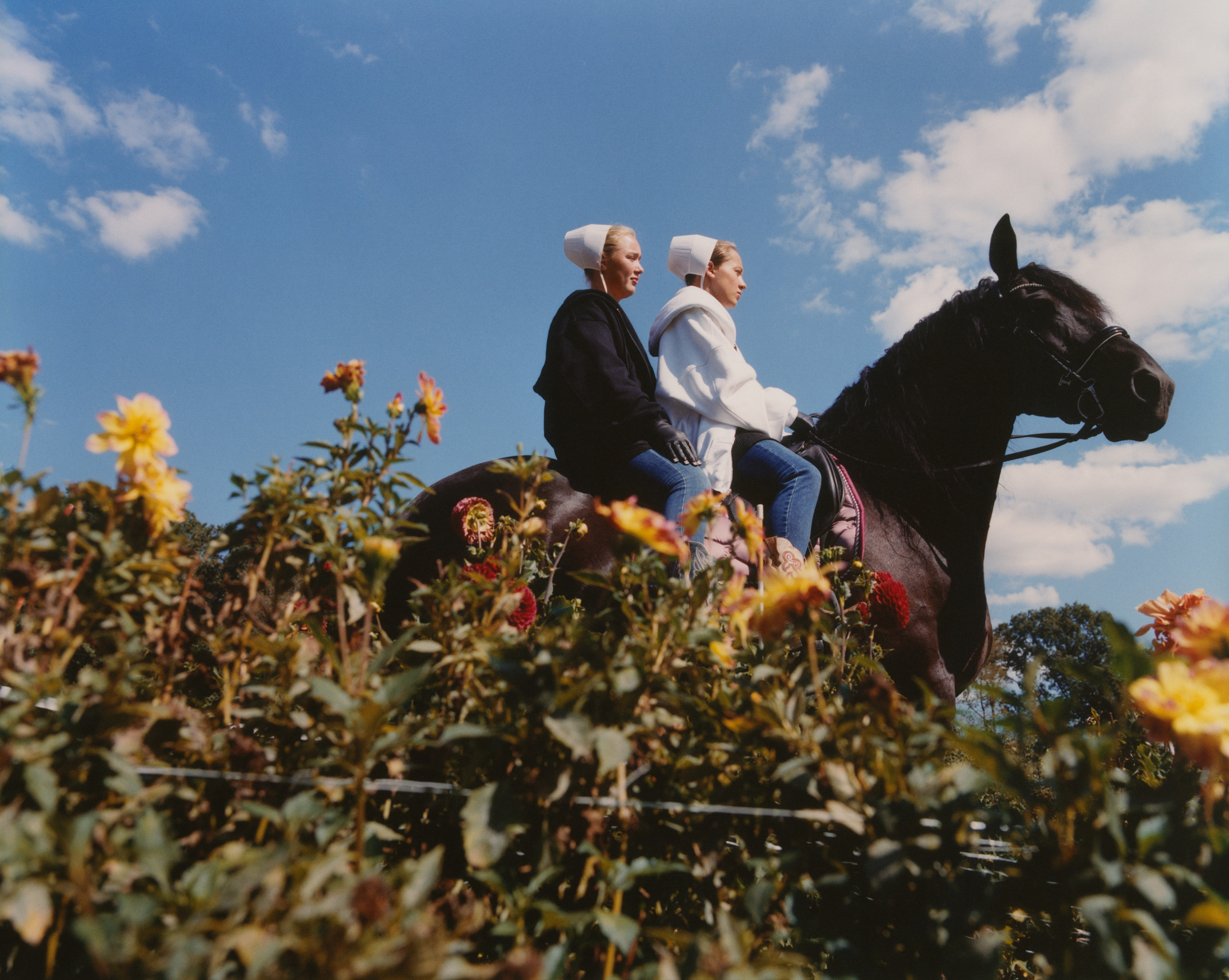 Tom Johnson, Dazed, Mini Title 2025