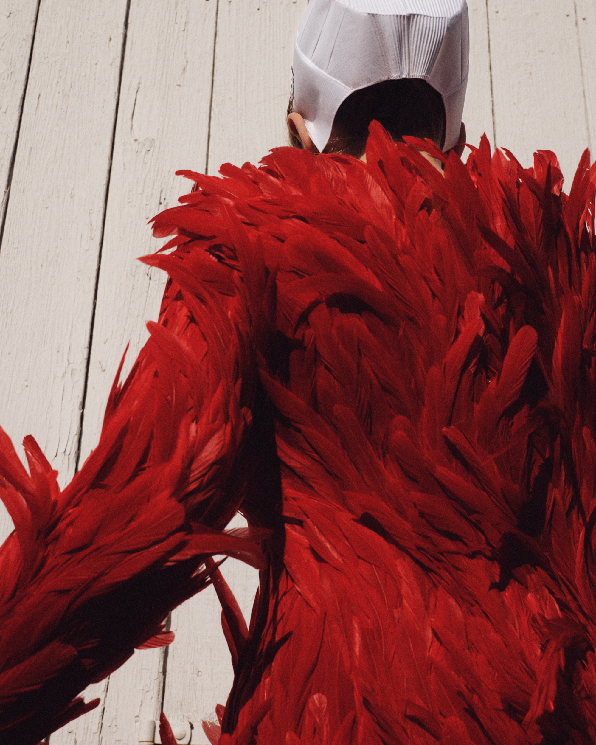 Portfolio — Tom Johnson, Mini Title 2026