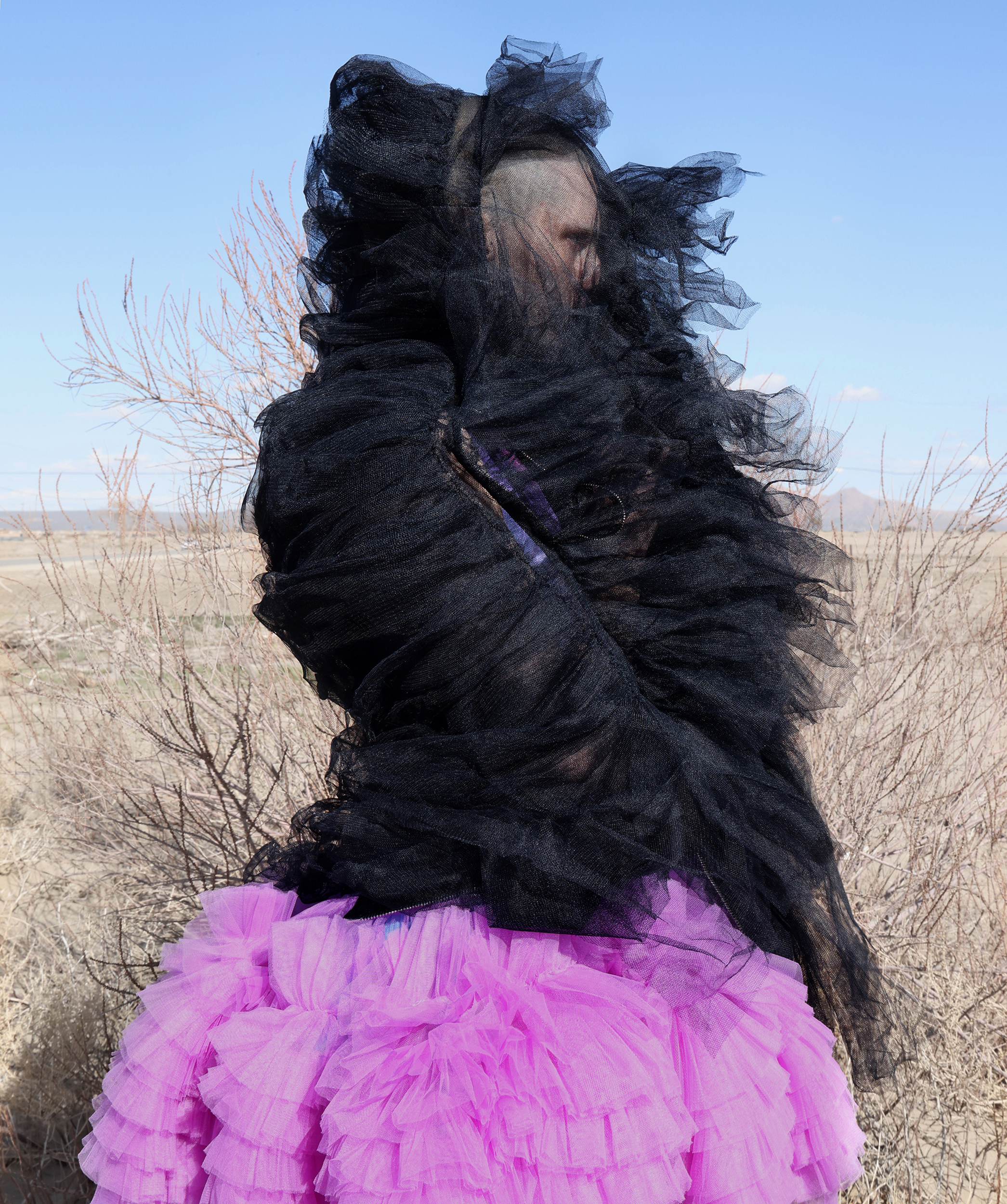 Portfolio — Jackie Nickerson, Mini Title 2026