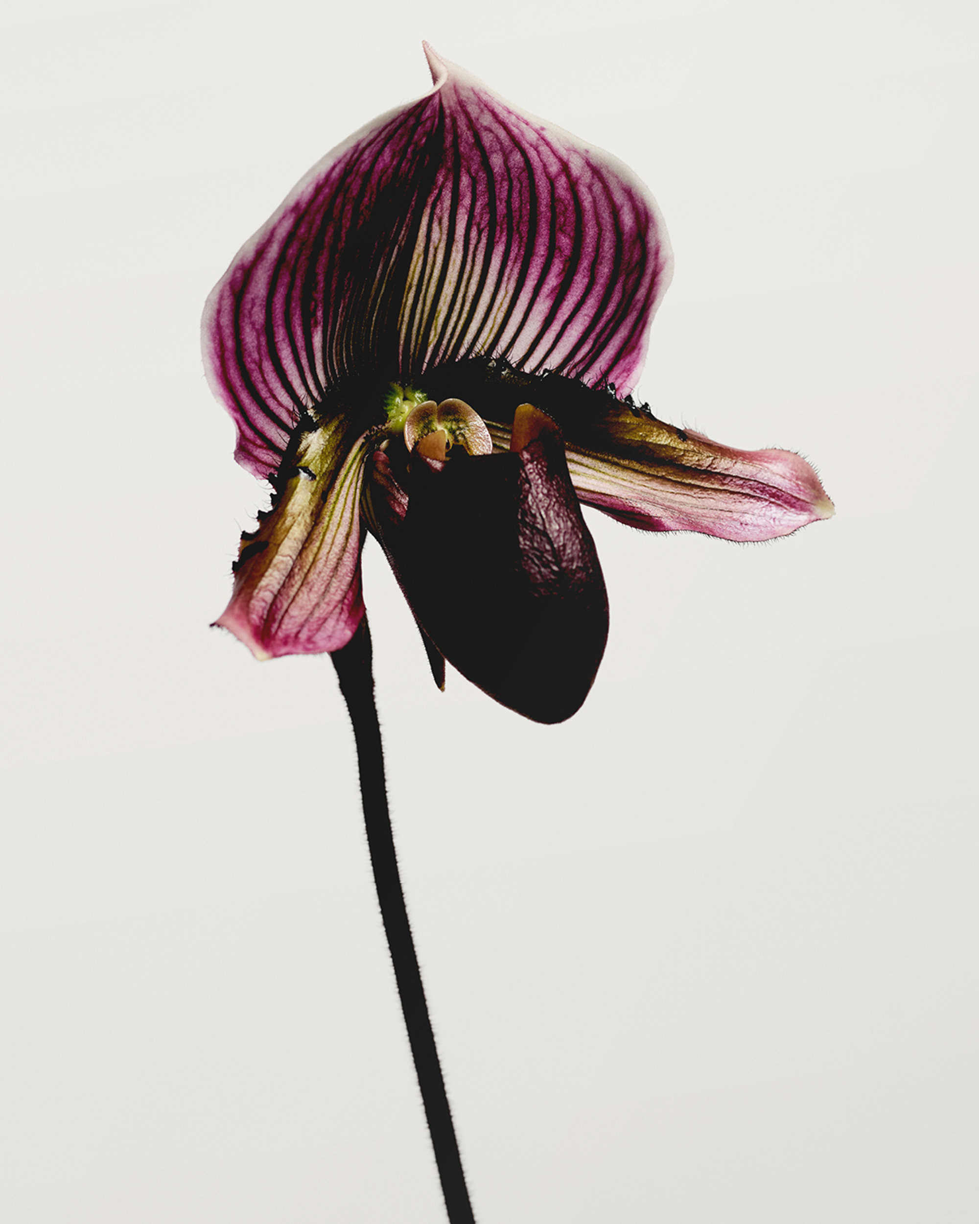 Arnaud Lajeunie, Tom Ford, Mini Title 2026