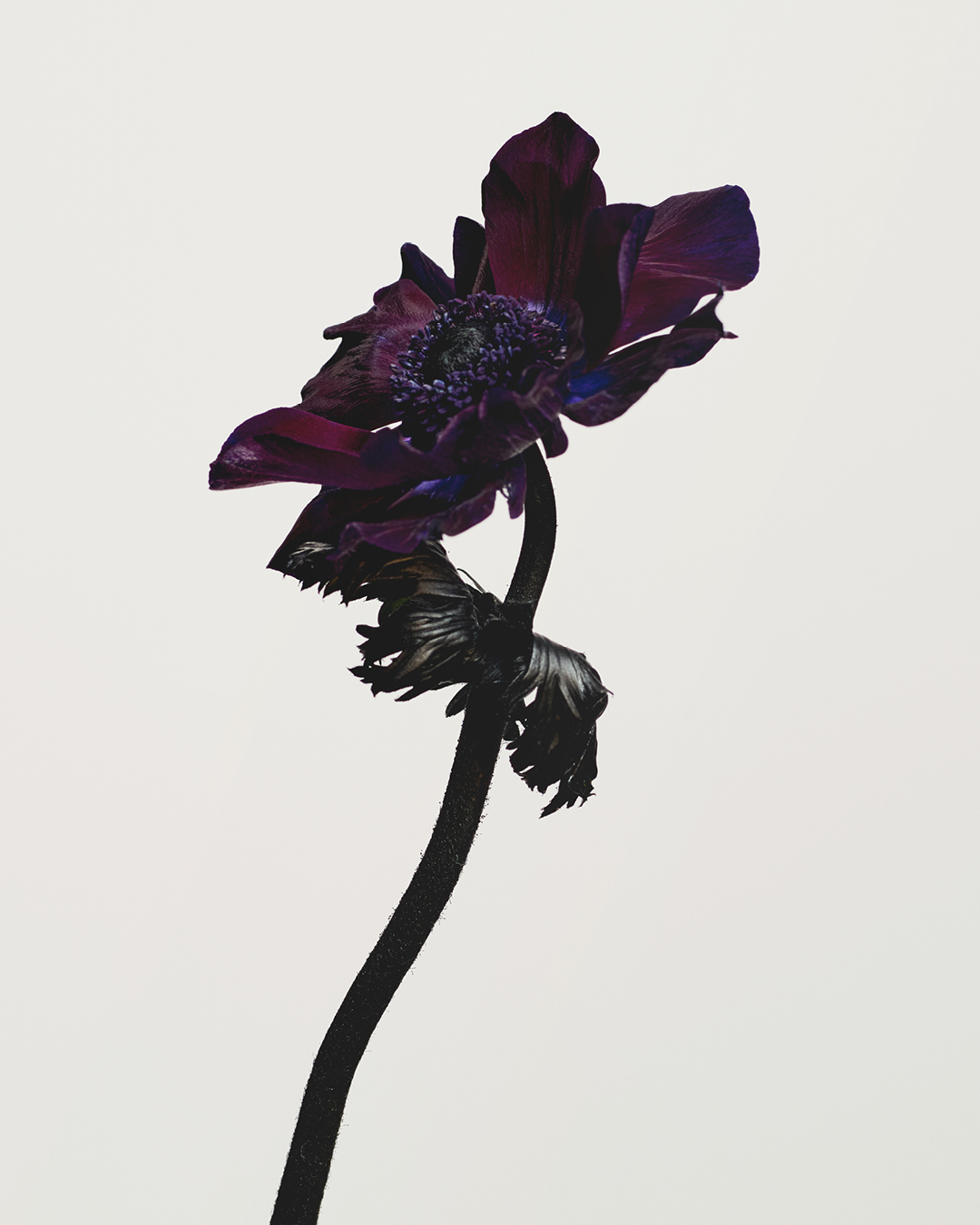 Arnaud Lajeunie, Tom Ford, Mini Title 2026