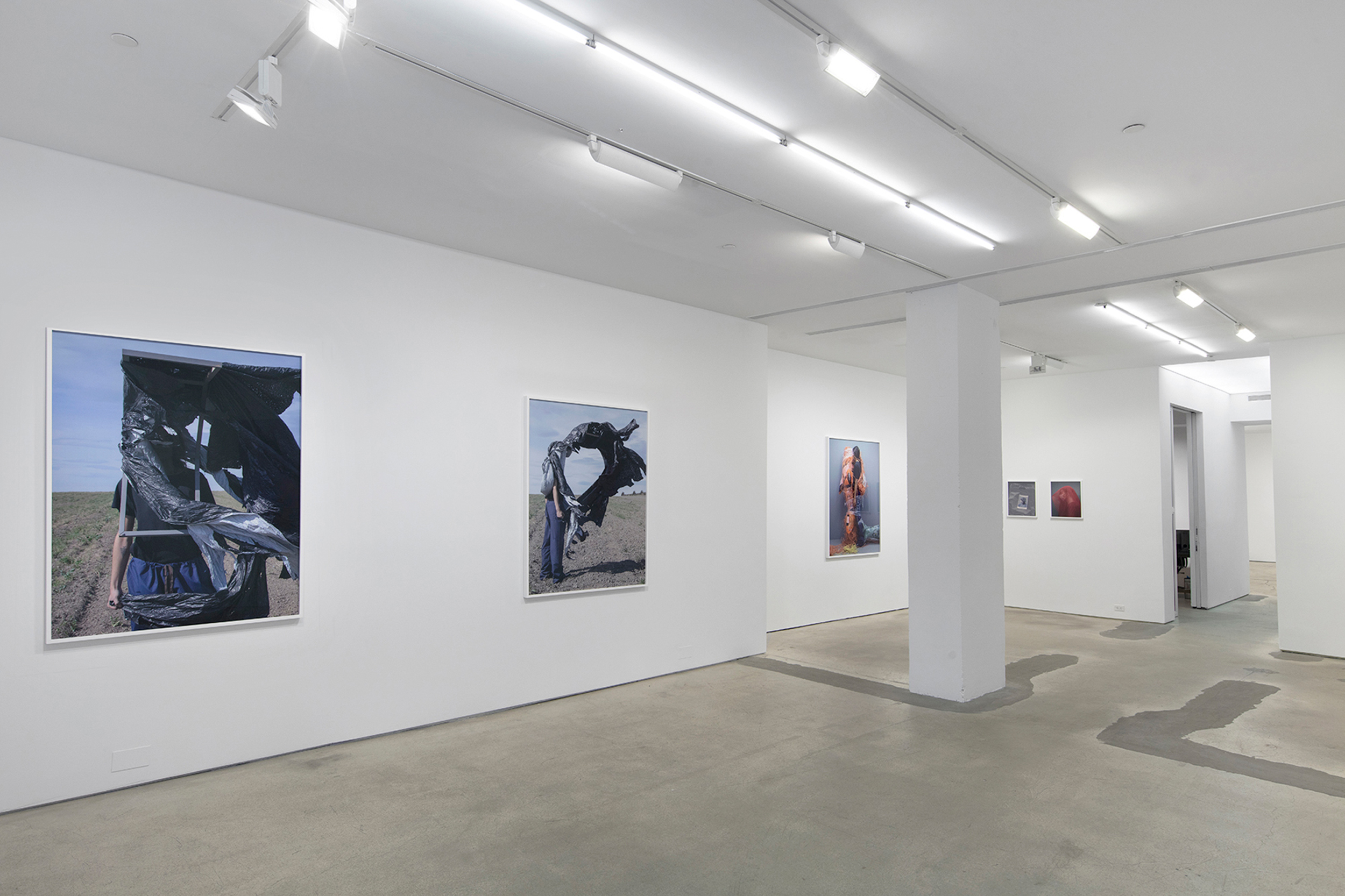 Books & Exhibitions — Jackie Nickerson, Mini Title 2026