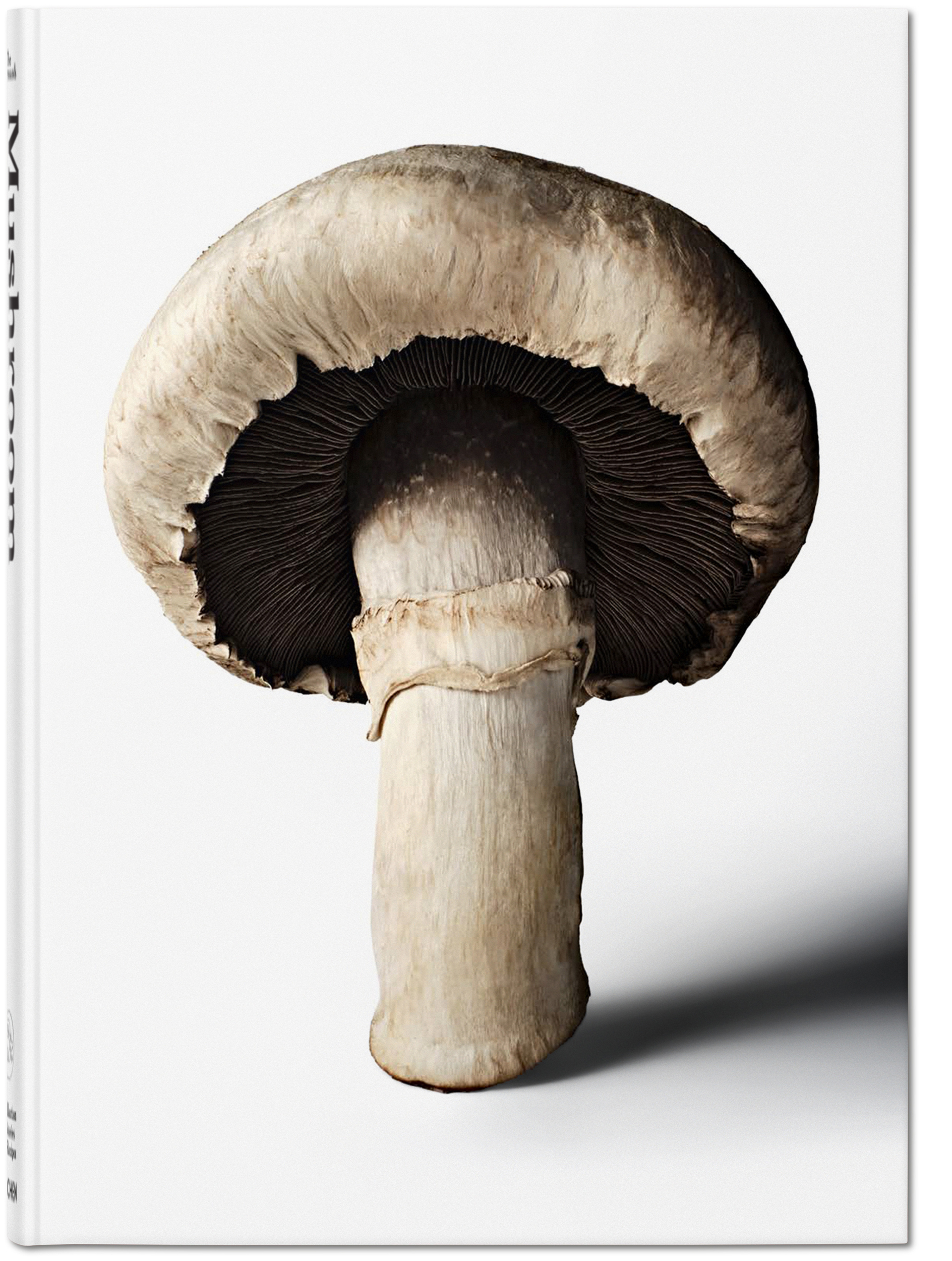 Noemi Bonazzi & Bobby Doherty, Le Gourmand, Mini Title 2026