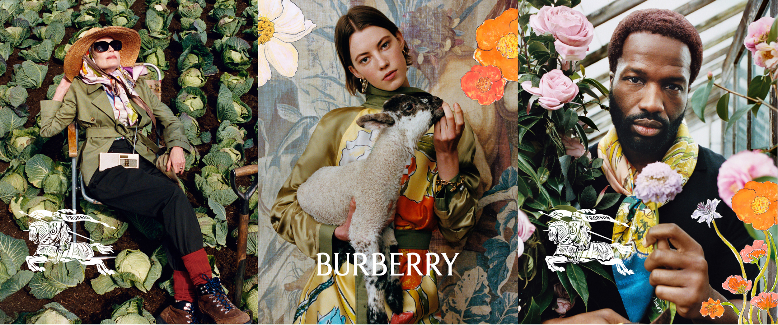 Portfolio — David Lane, Mini Title 2025