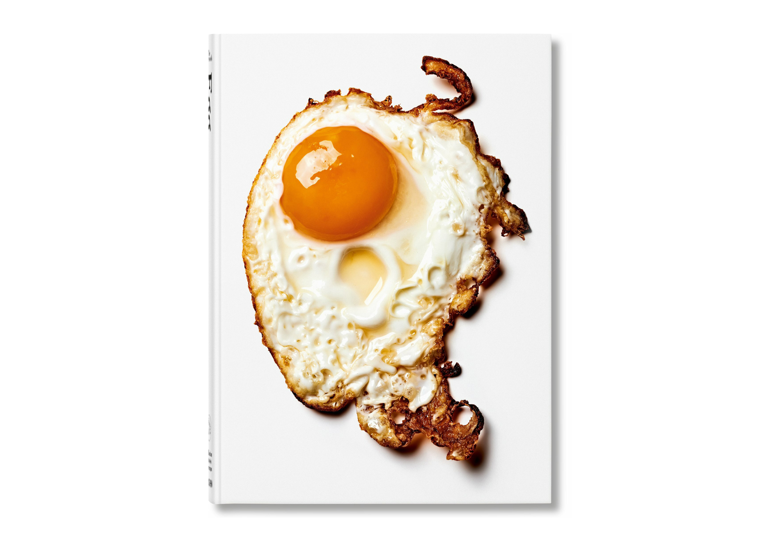 Portfolio — David Lane, Mini Title 2025