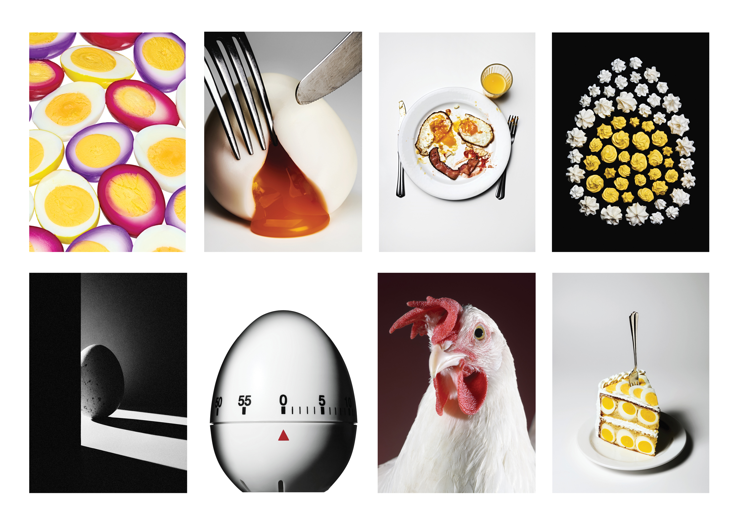 Portfolio — David Lane, Mini Title 2025