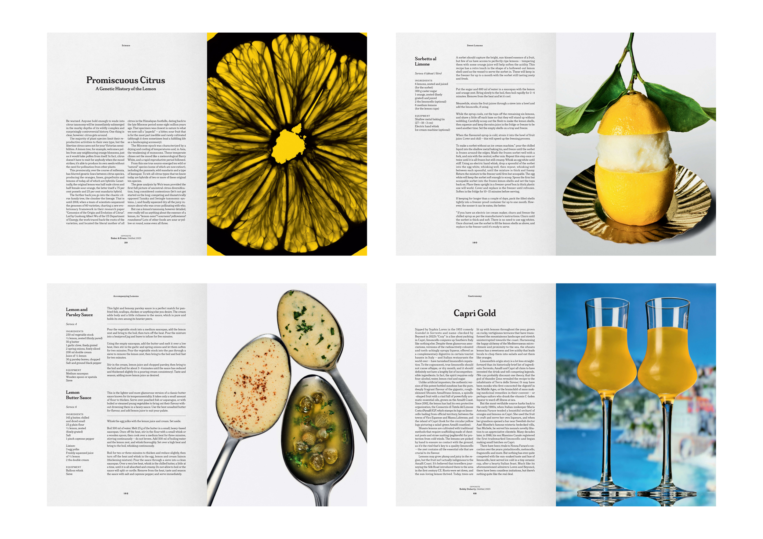 Portfolio — David Lane, Mini Title 2025