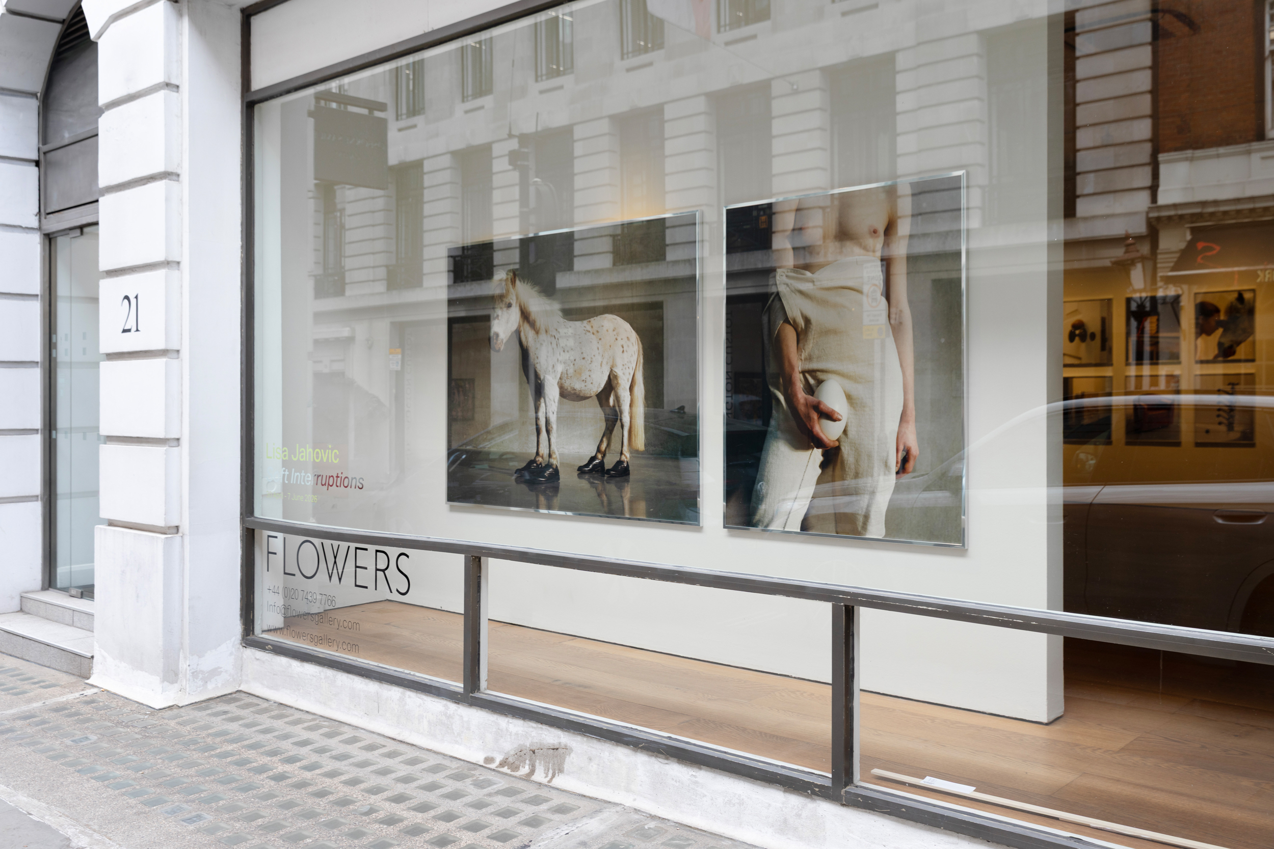 Lisa Jahovic, Flowers Gallery, Mini Title 2026