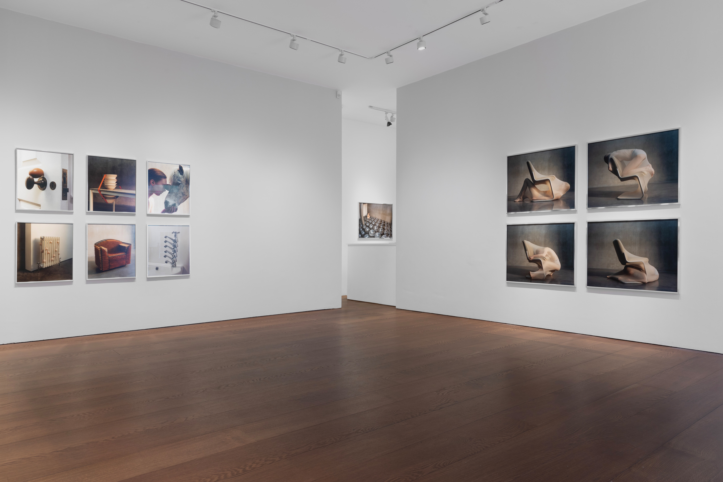 Lisa Jahovic, Flowers Gallery, Mini Title 2026