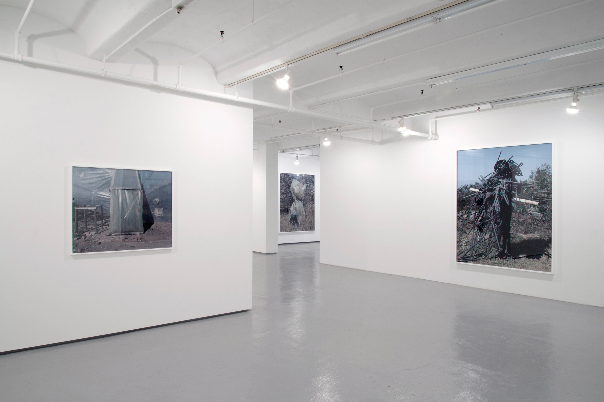 Books & Exhibitions — Jackie Nickerson, Mini Title 2026