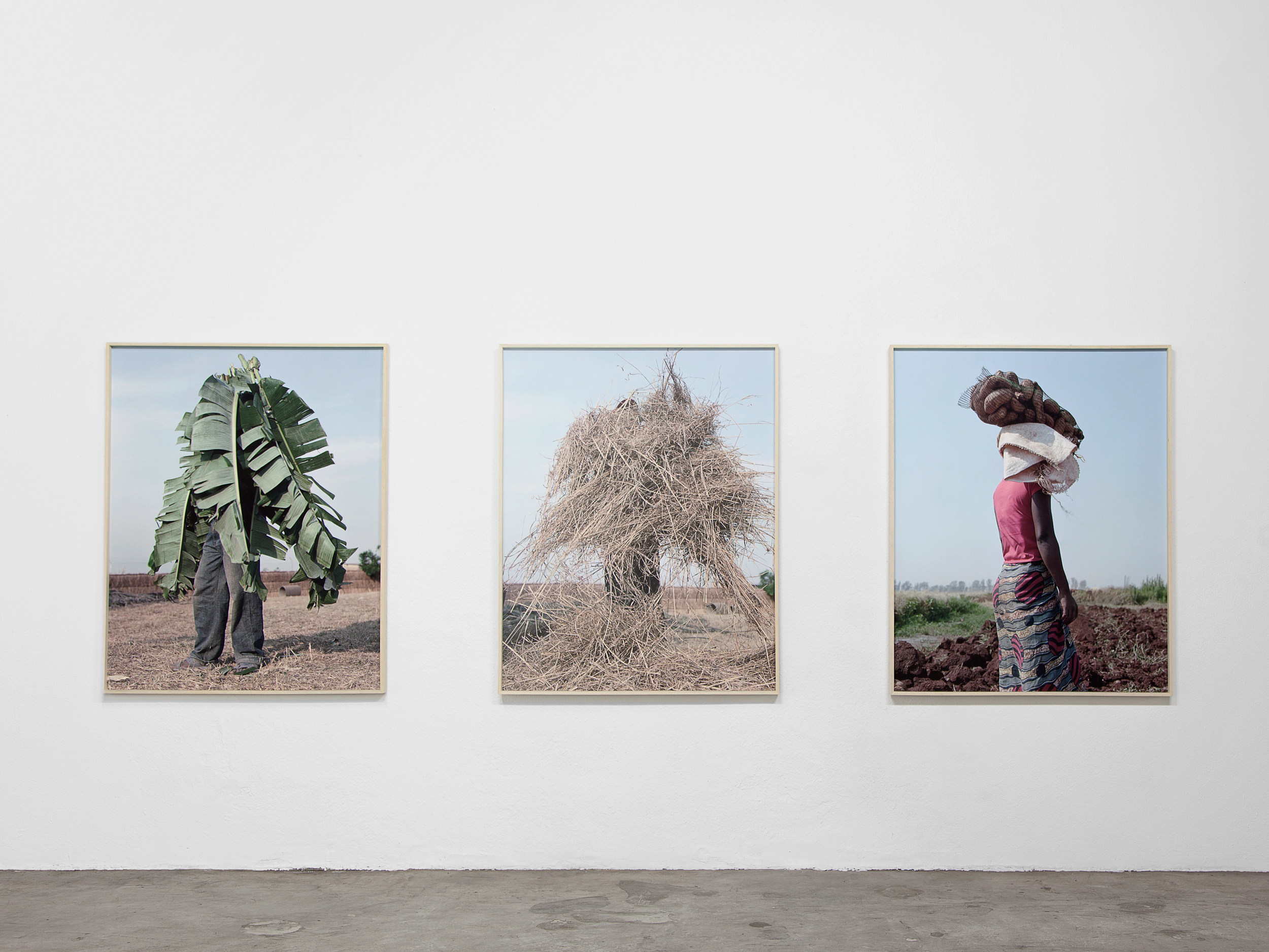 Books & Exhibitions — Jackie Nickerson, Mini Title 2026