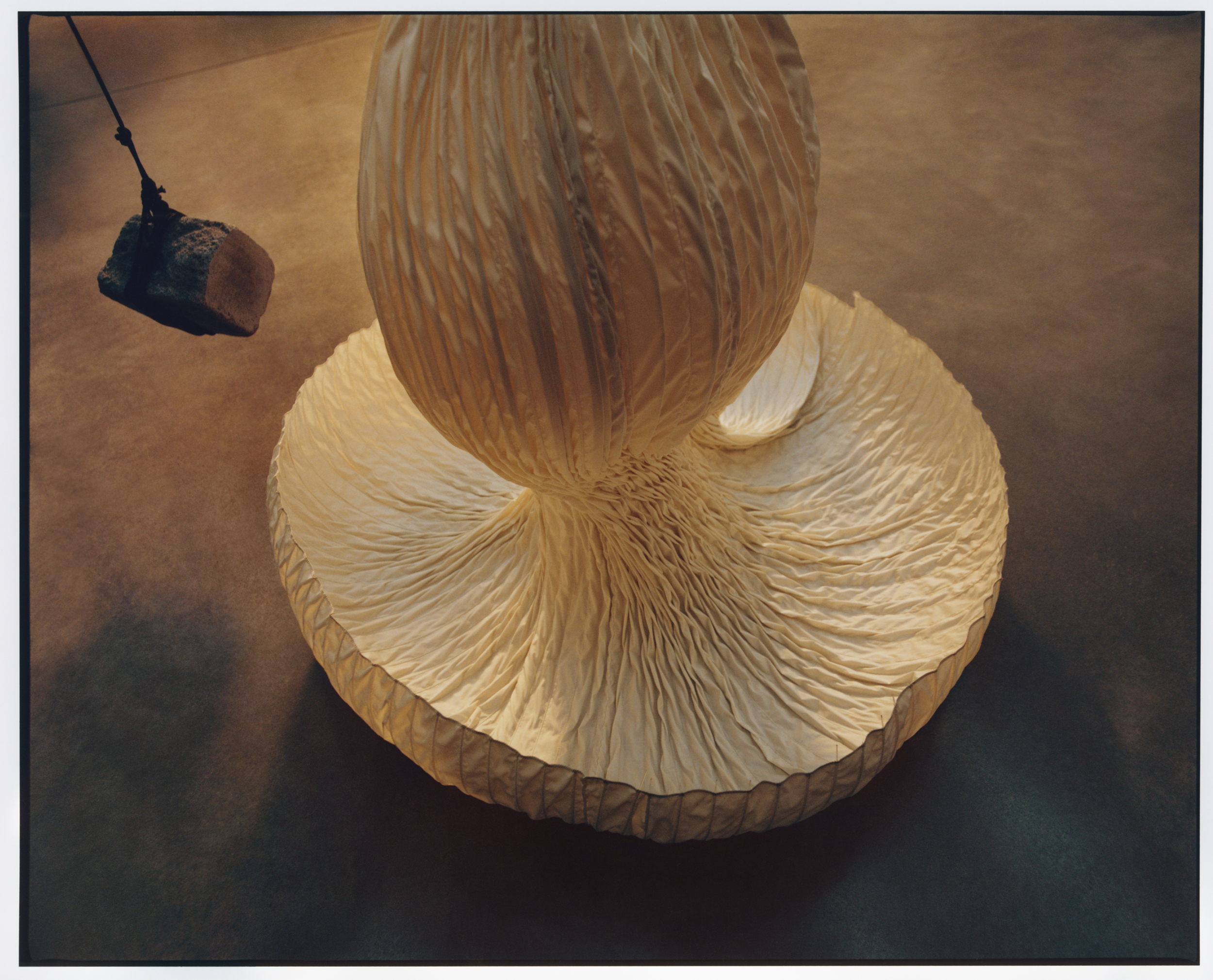 Lisa Jahovic, Danielle Frankel, Mini Title 2026