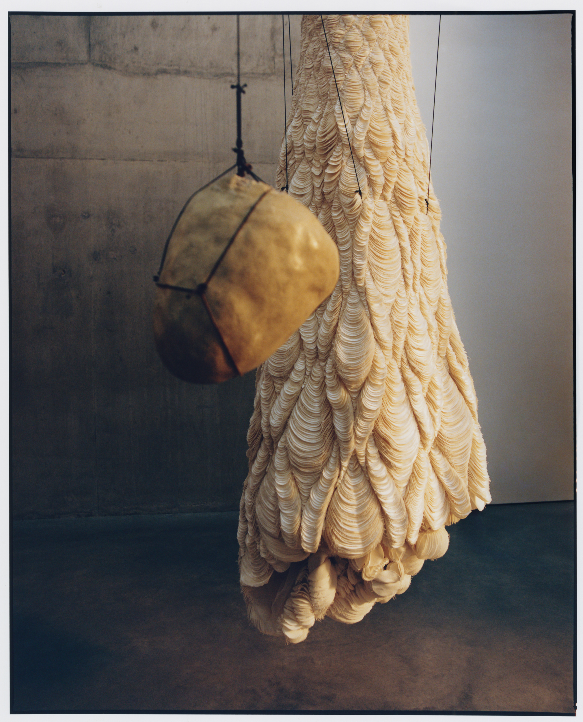 Lisa Jahovic, Danielle Frankel, Mini Title 2026