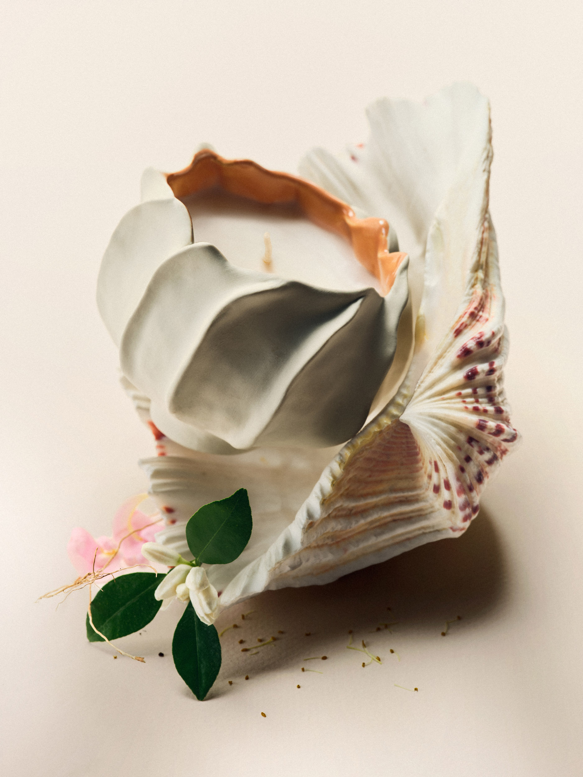 Portfolio — Noemi Bonazzi, Mini Title 2026