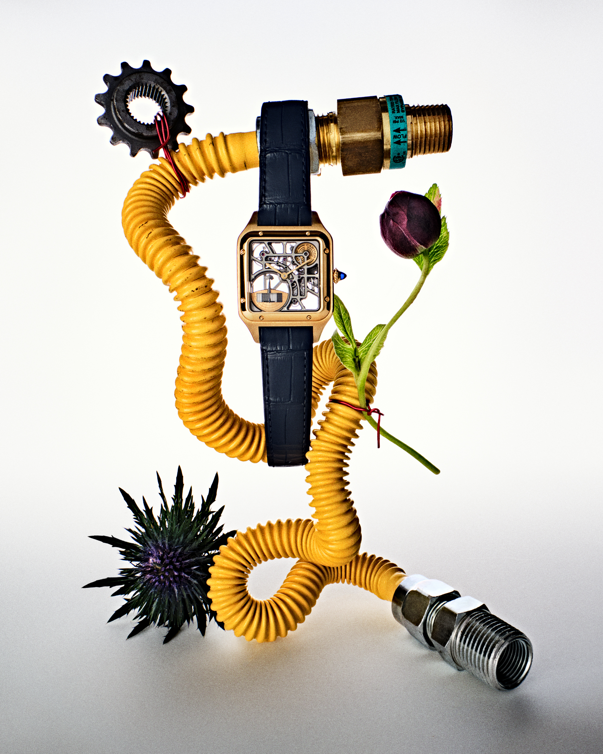 Bobby Doherty & Noemi Bonazzi, GQ x Cartier, Mini Title 2025