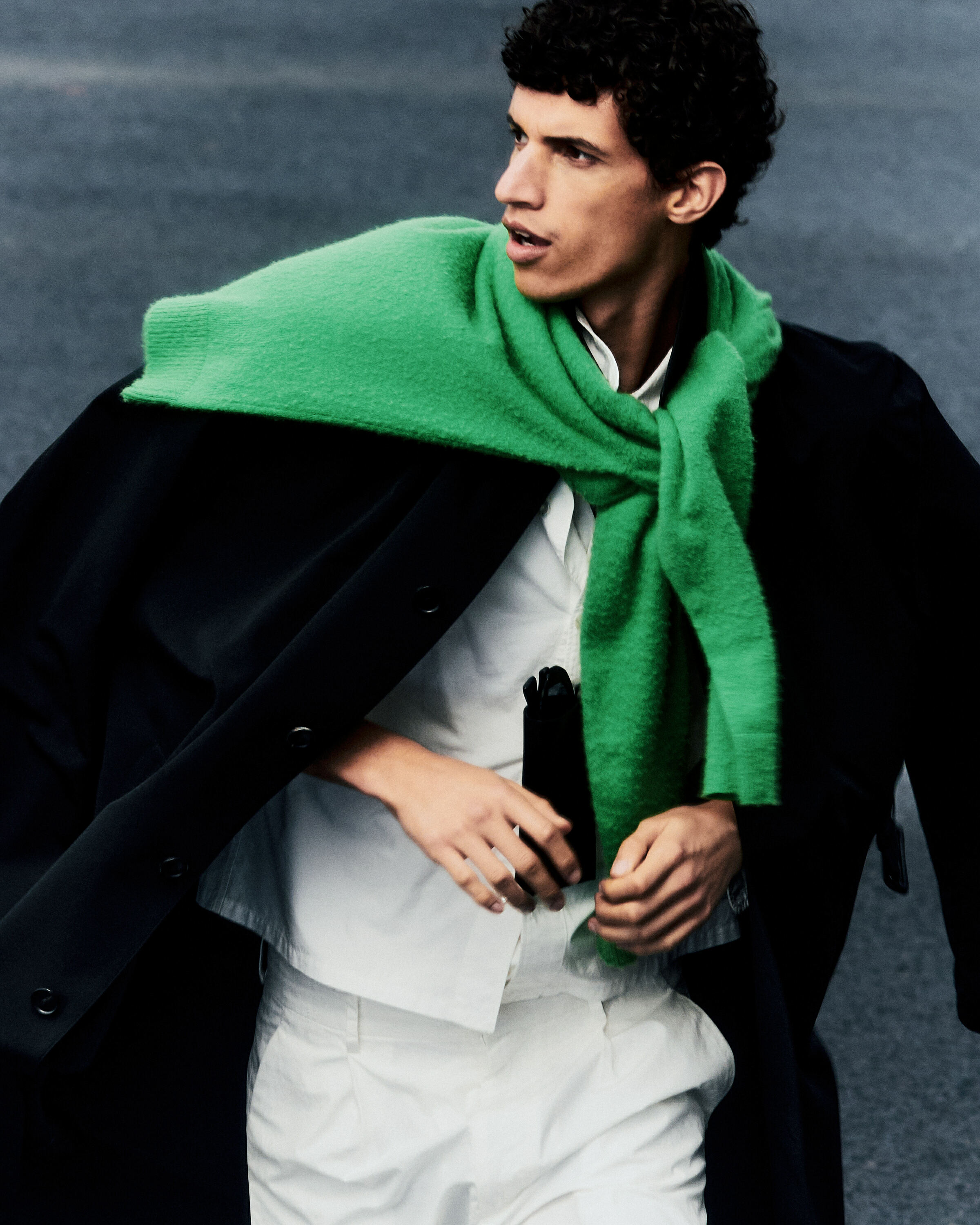 Daniel Shea, Auralee, Mini Title 2026