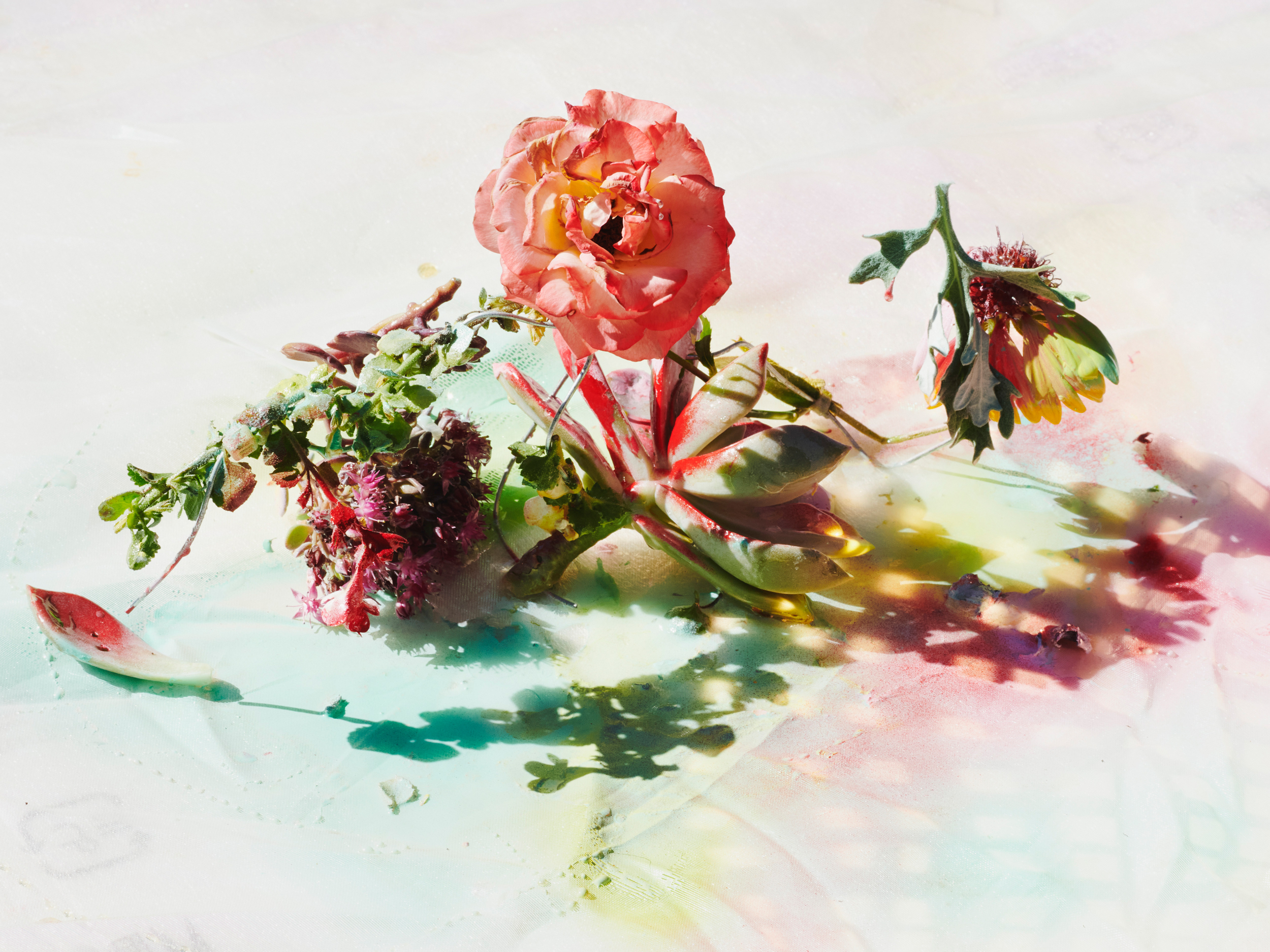 FLOWERS — Arnaud Lajeunie, Mini Title 2025