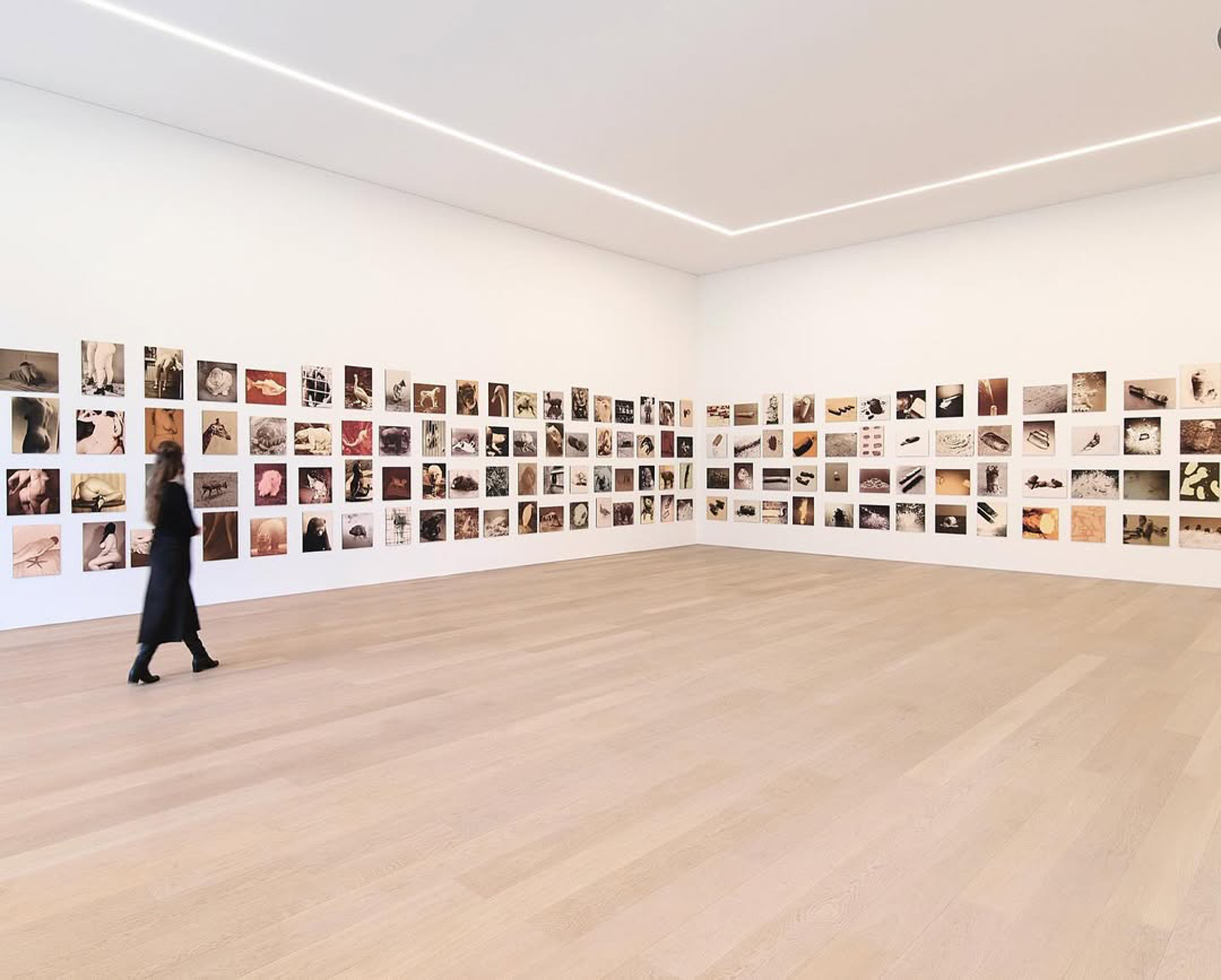 Paul Kooiker, Museum Voorlinden, Mini Title 2025