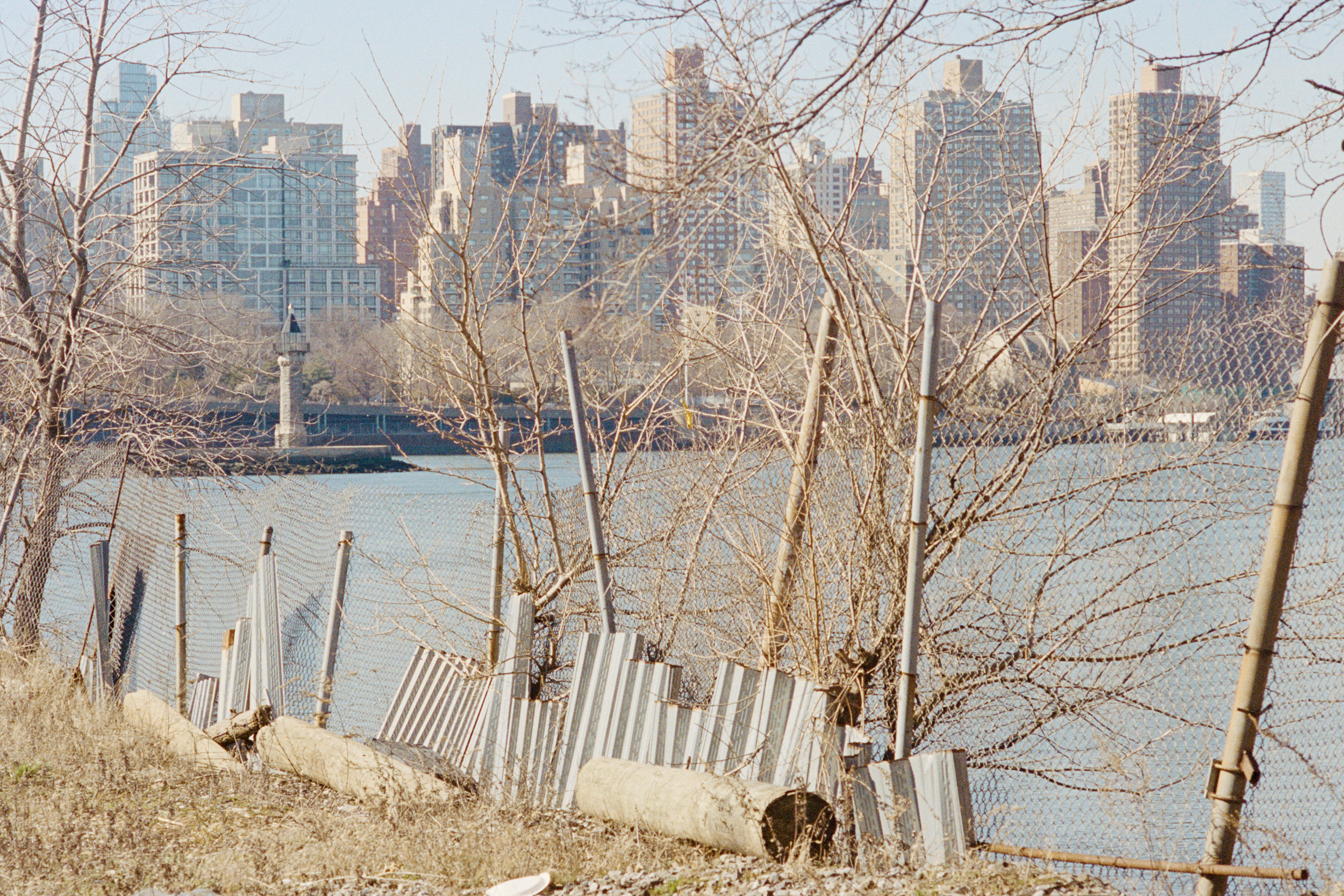 Portfolio — Daniel Shea, Mini Title 2025