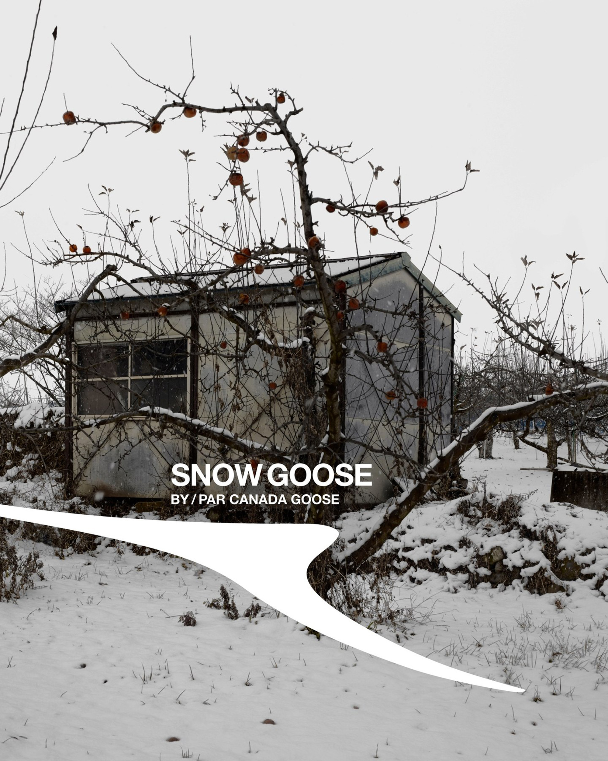 Ai Kamoshita, Canada Goose, Mini Title 2026