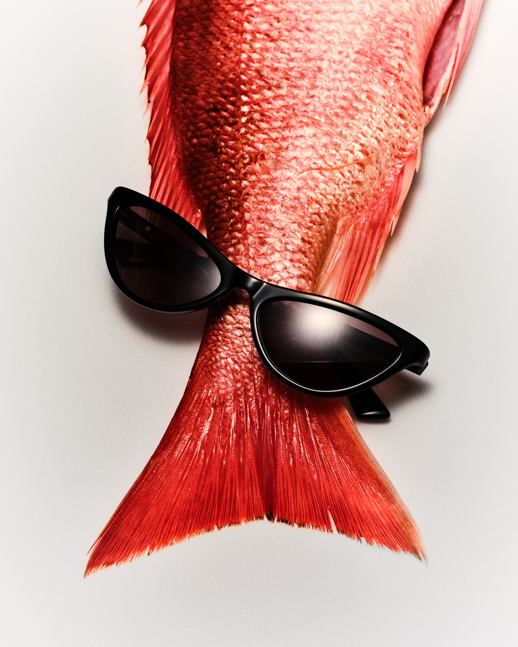 Portfolio — Noemi Bonazzi, Mini Title 2026