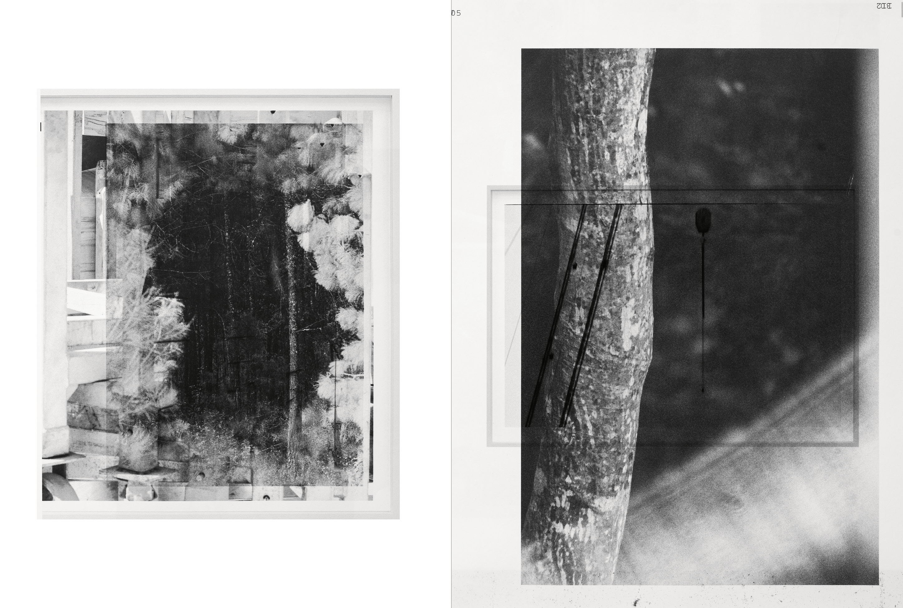 Daniel Shea, True Journal, Mini Title 2026