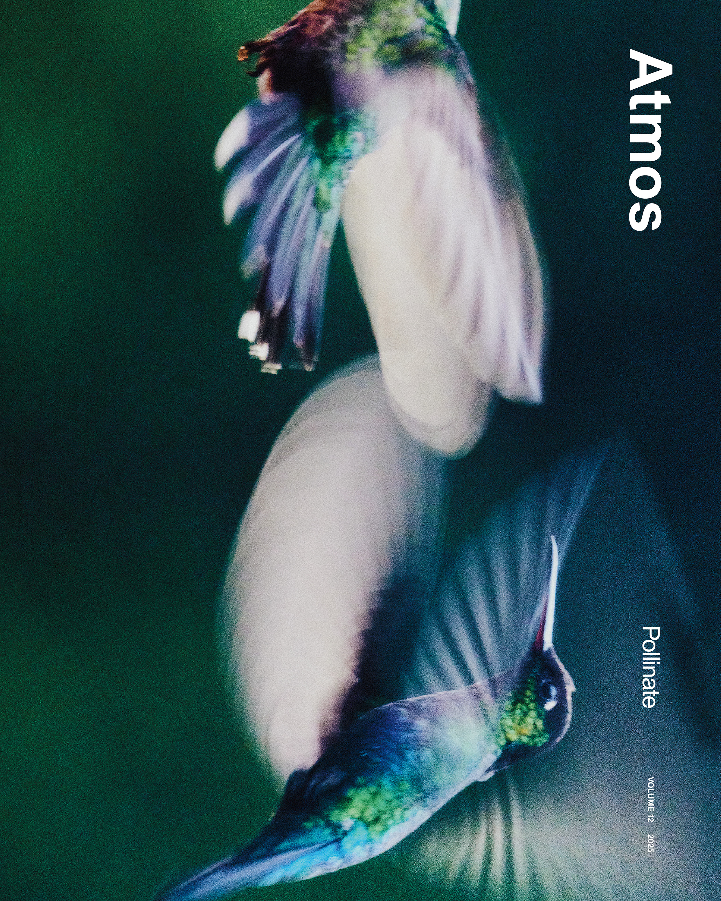 Daniel Shea, Atmos, Mini Title 2025