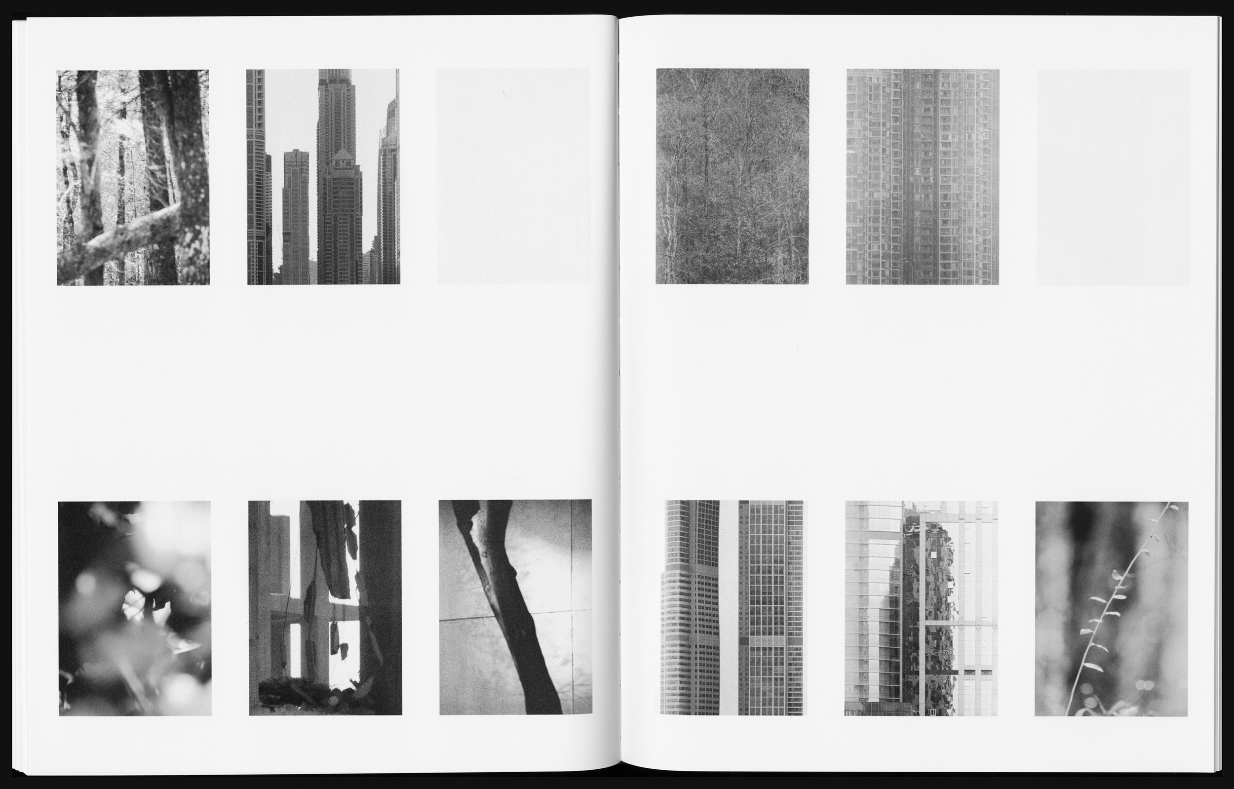 Books & Exhibitions — Daniel Shea, Mini Title 2025