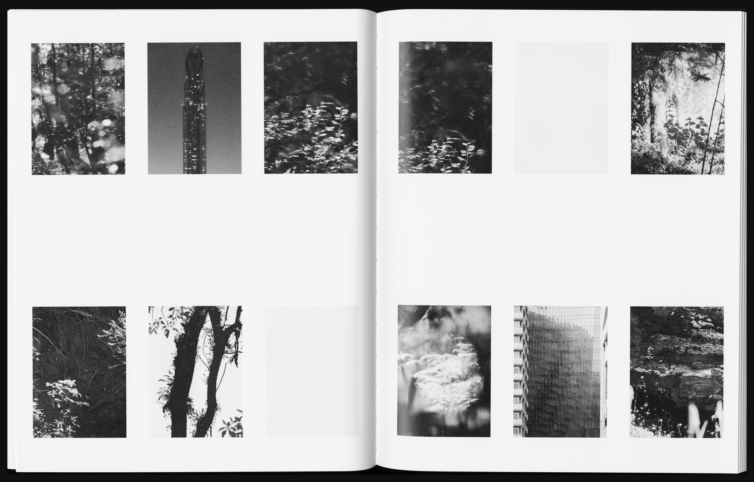Books & Exhibitions — Daniel Shea, Mini Title 2025