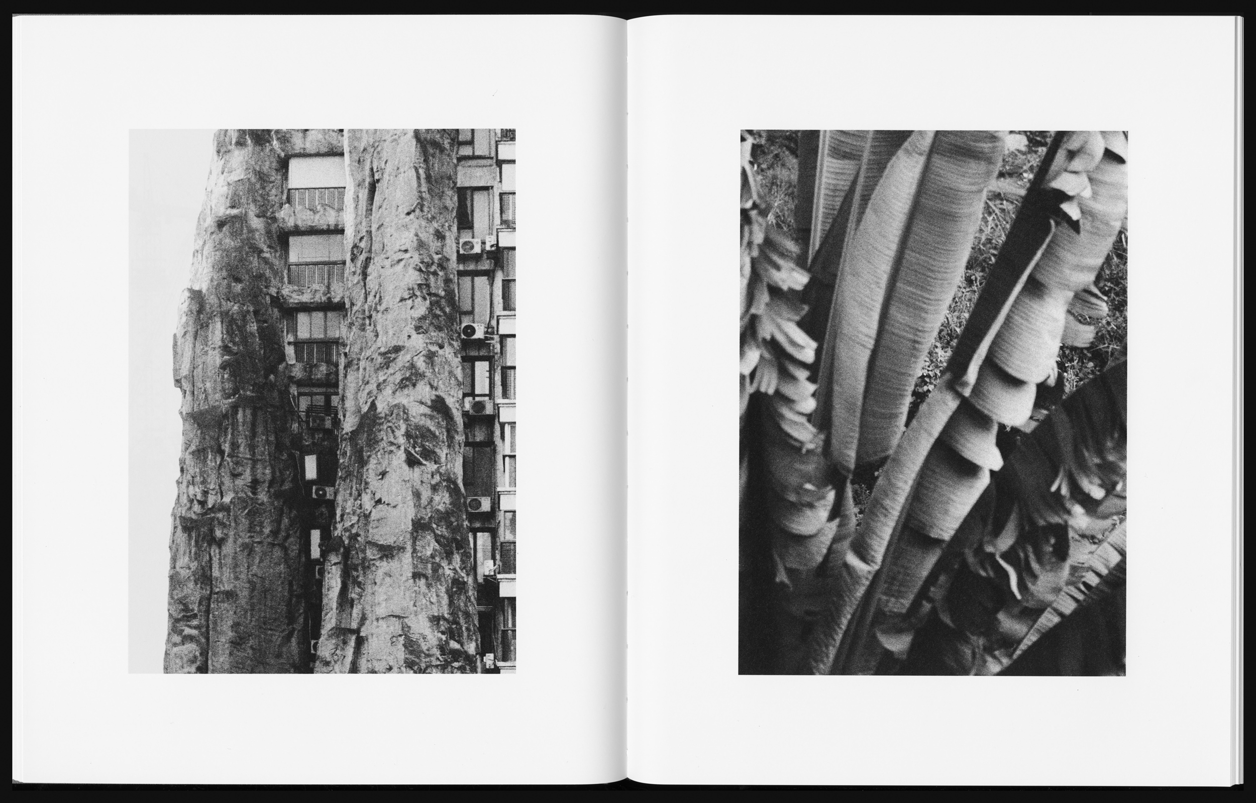 Books & Exhibitions — Daniel Shea, Mini Title 2025