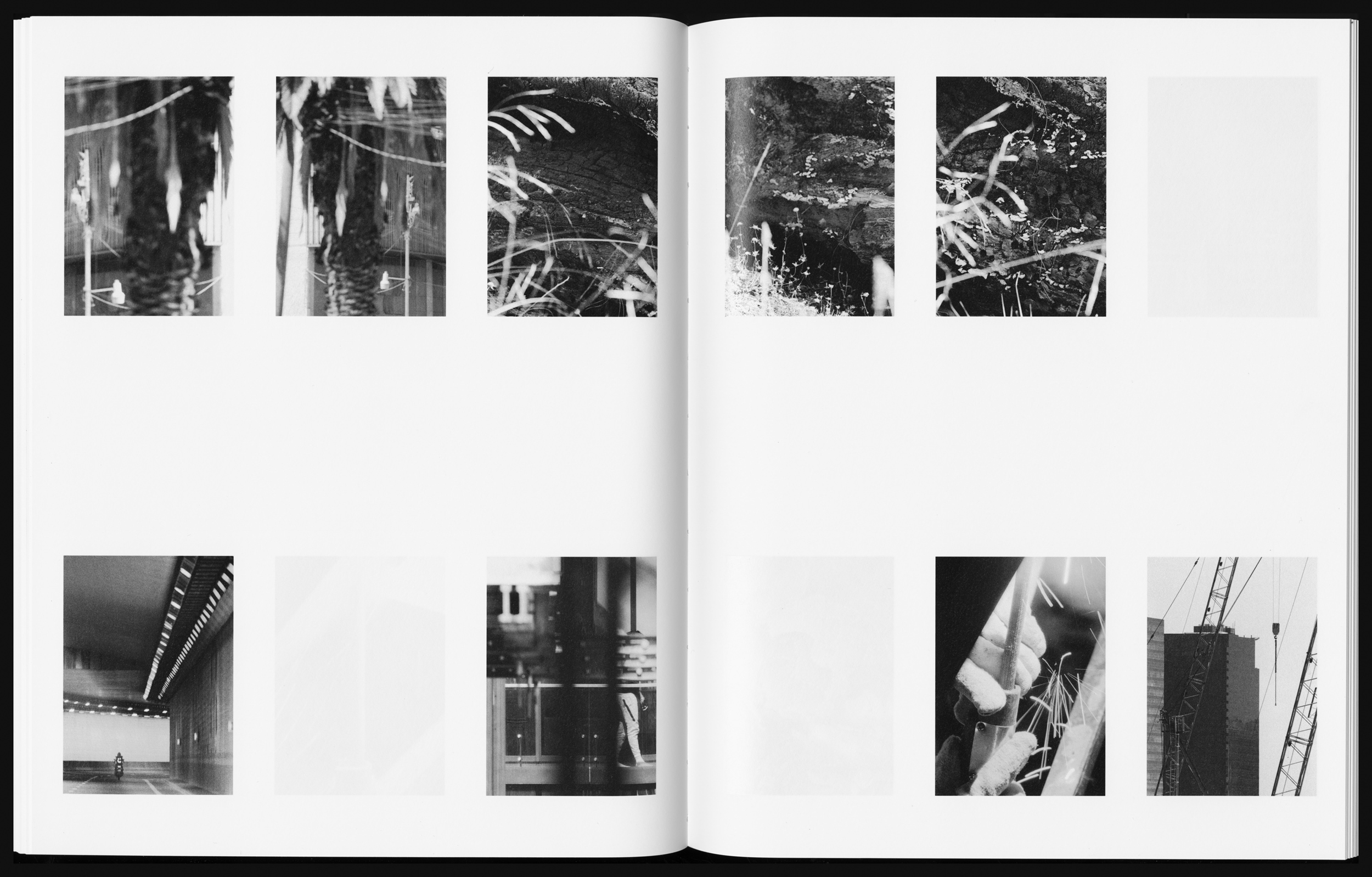 Books & Exhibitions — Daniel Shea, Mini Title 2025