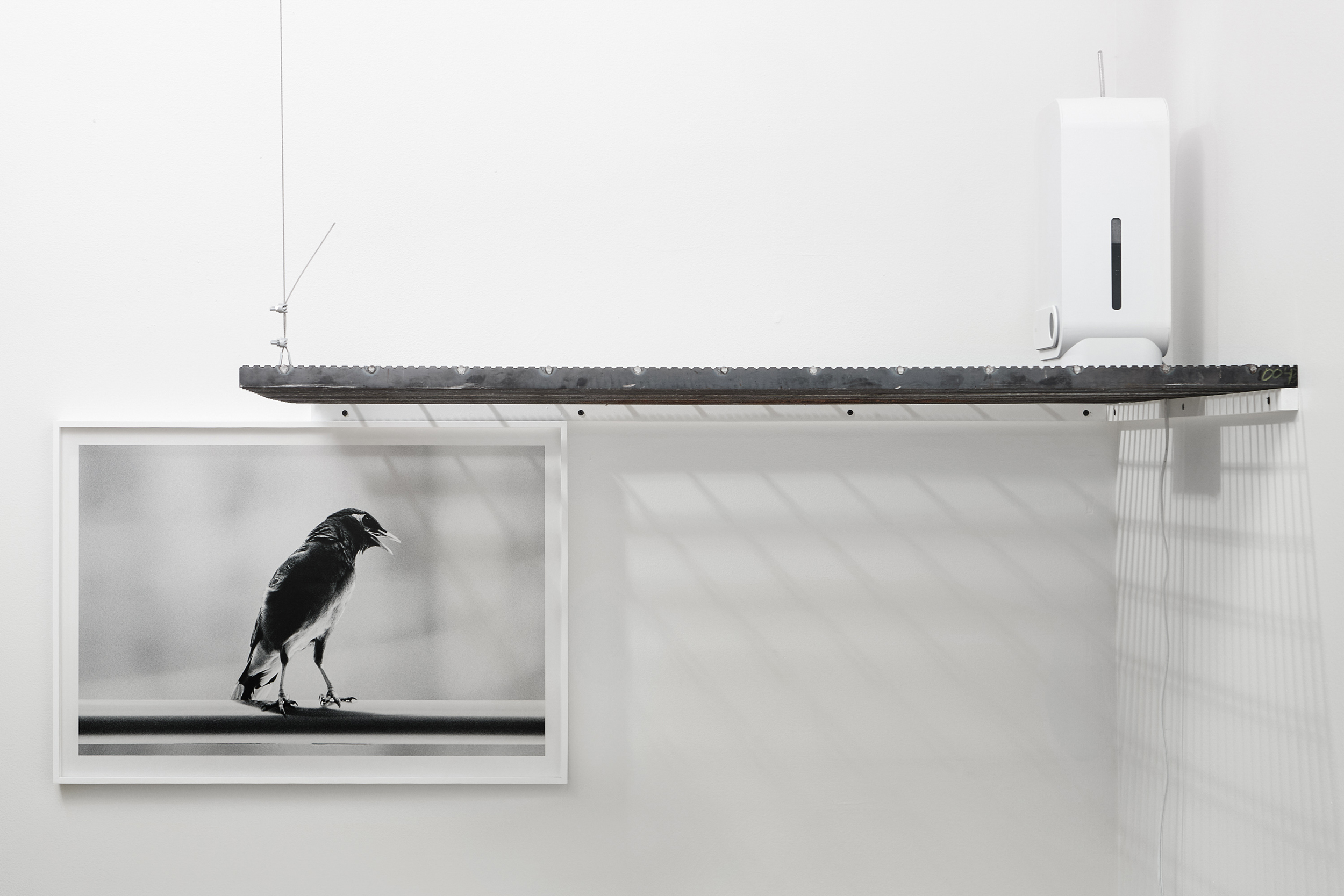 Books & Exhibitions — Daniel Shea, Mini Title 2025