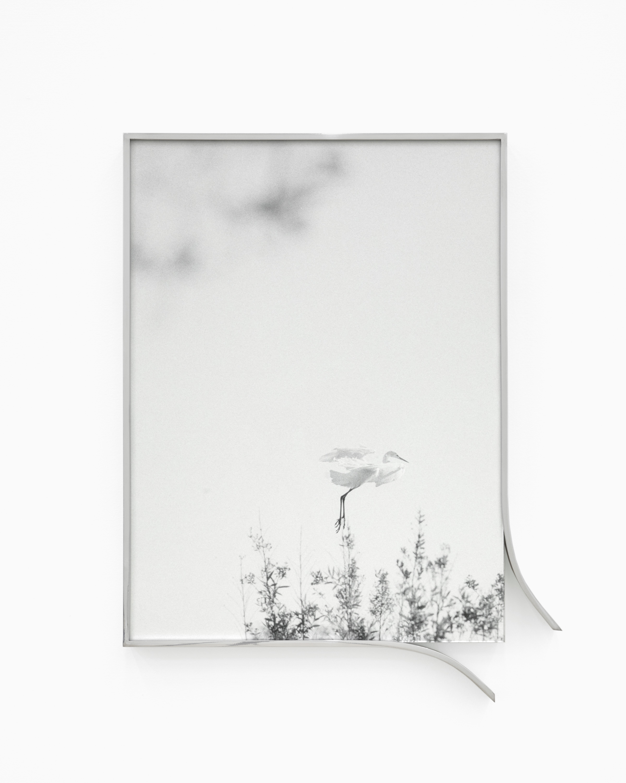 Books & Exhibitions — Daniel Shea, Mini Title 2025